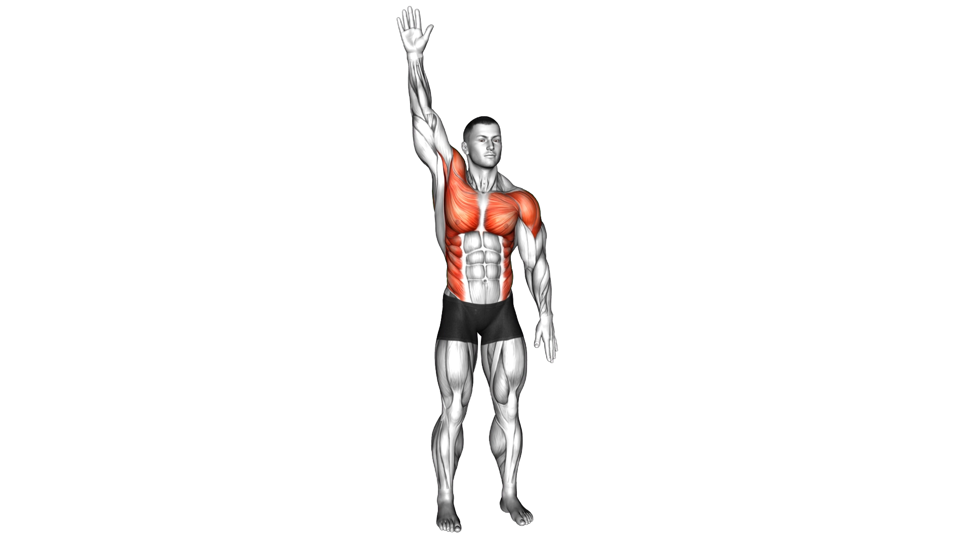 Standing Swimmer exercise demonstration