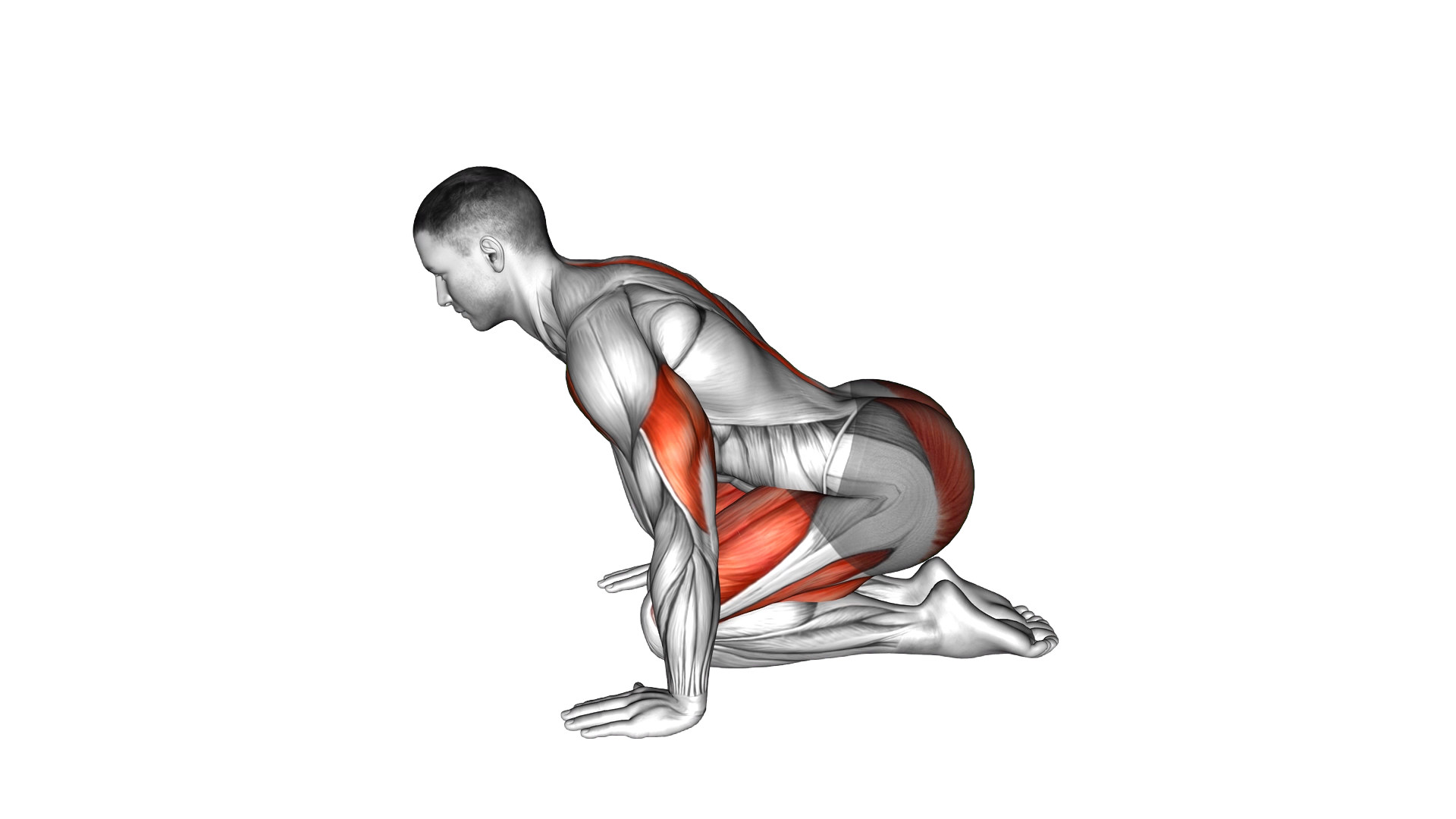 Push up in Child Pose exercise demonstration
