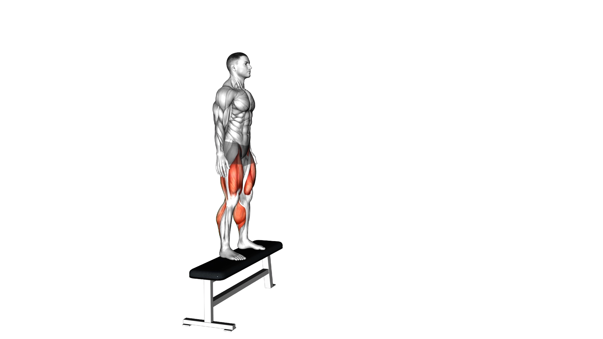 Depth Jump exercise demonstration