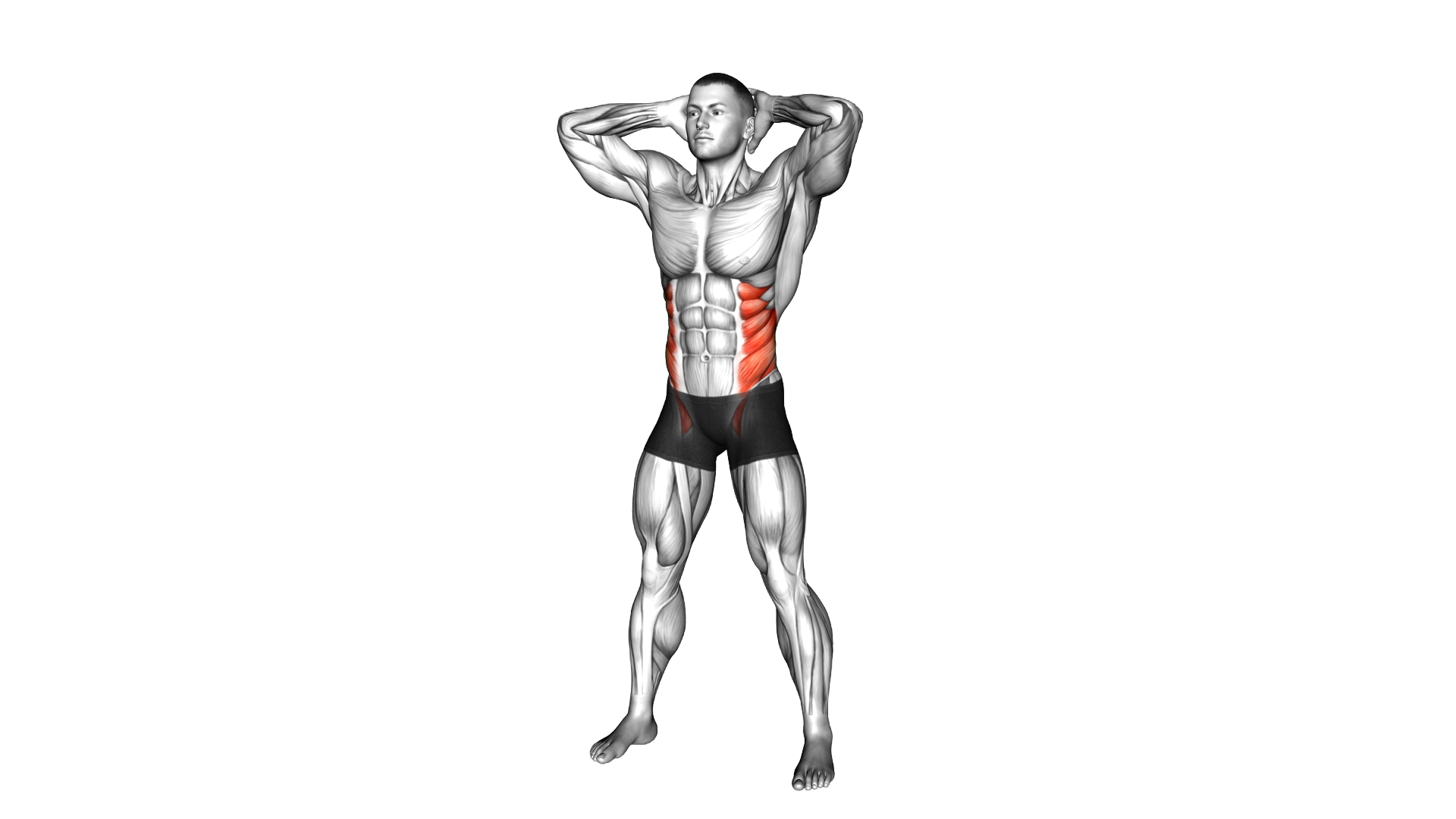 Bodyweight Standing Oblique Twist exercise demonstration