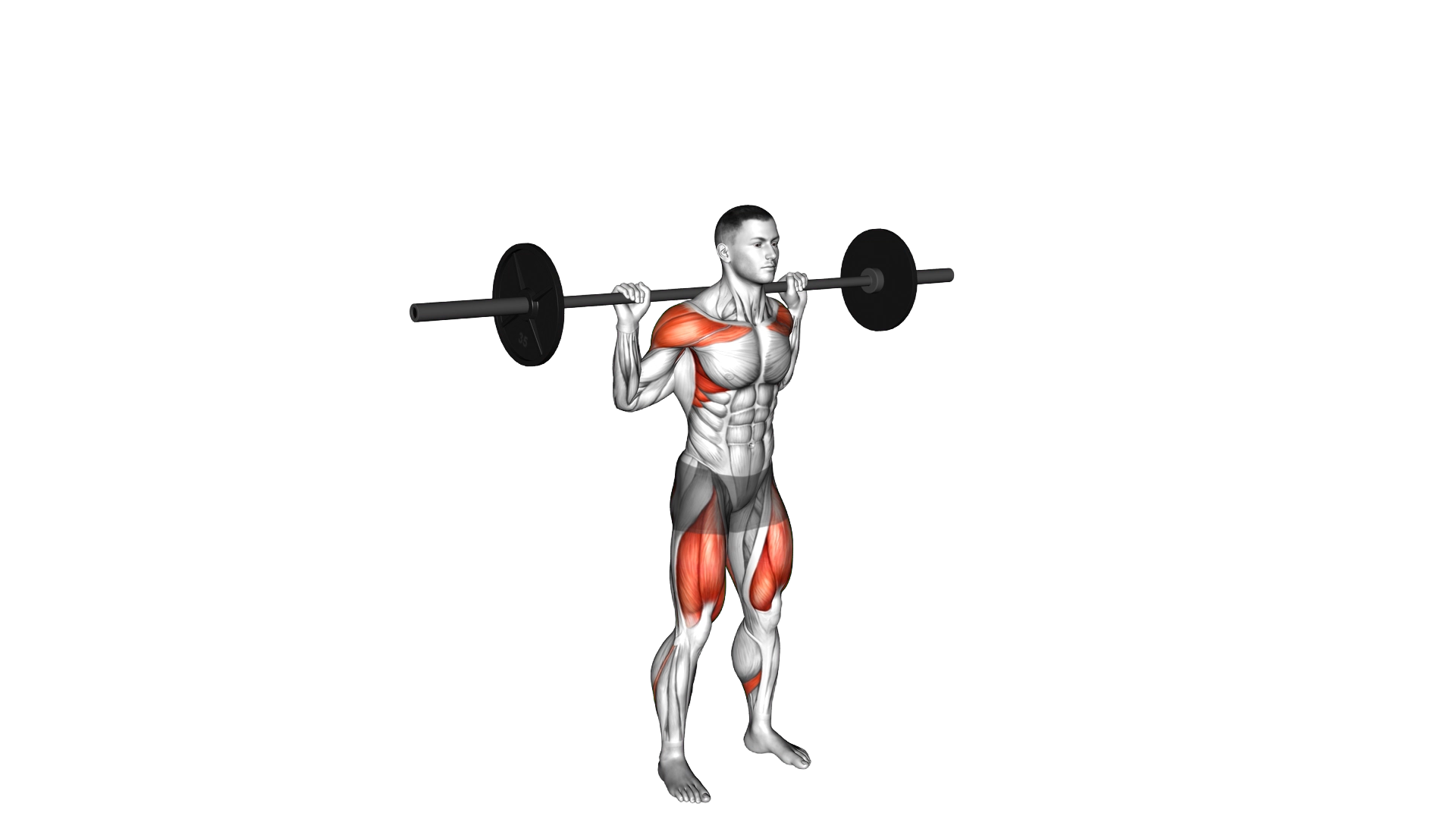 Barbell Behind the Back Push Press exercise demonstration
