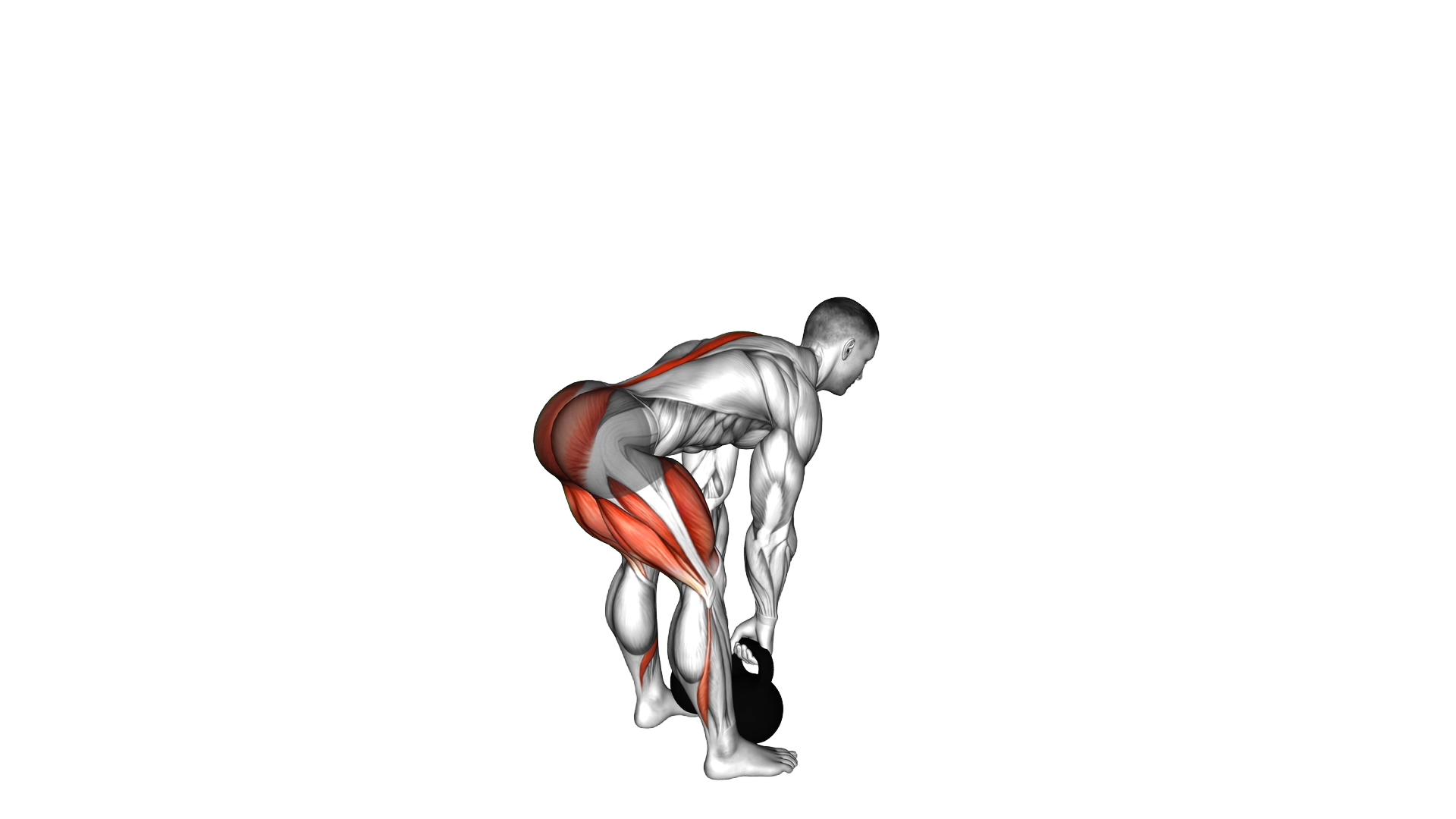 Kettlebell Romanian Deadlift exercise demonstration