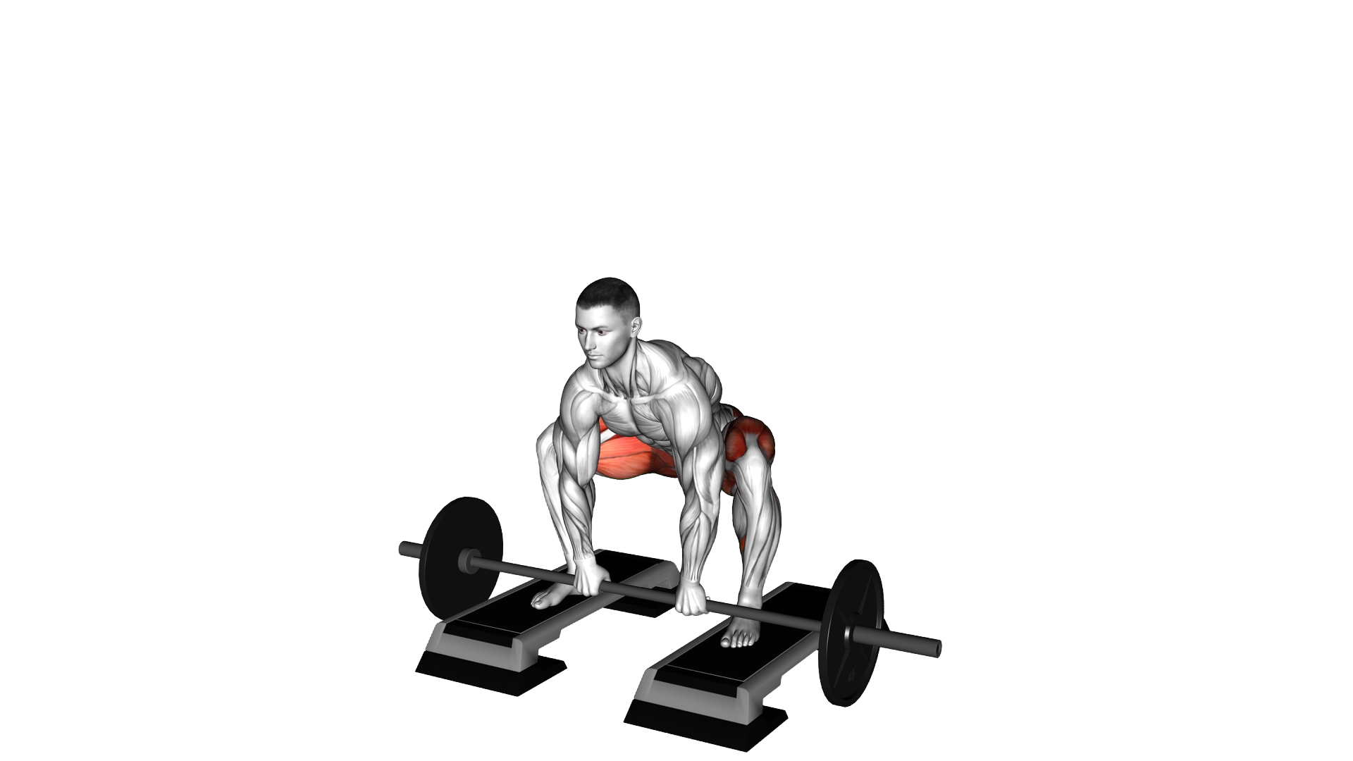 Barbell Sumo Deadlift from Deficit exercise demonstration
