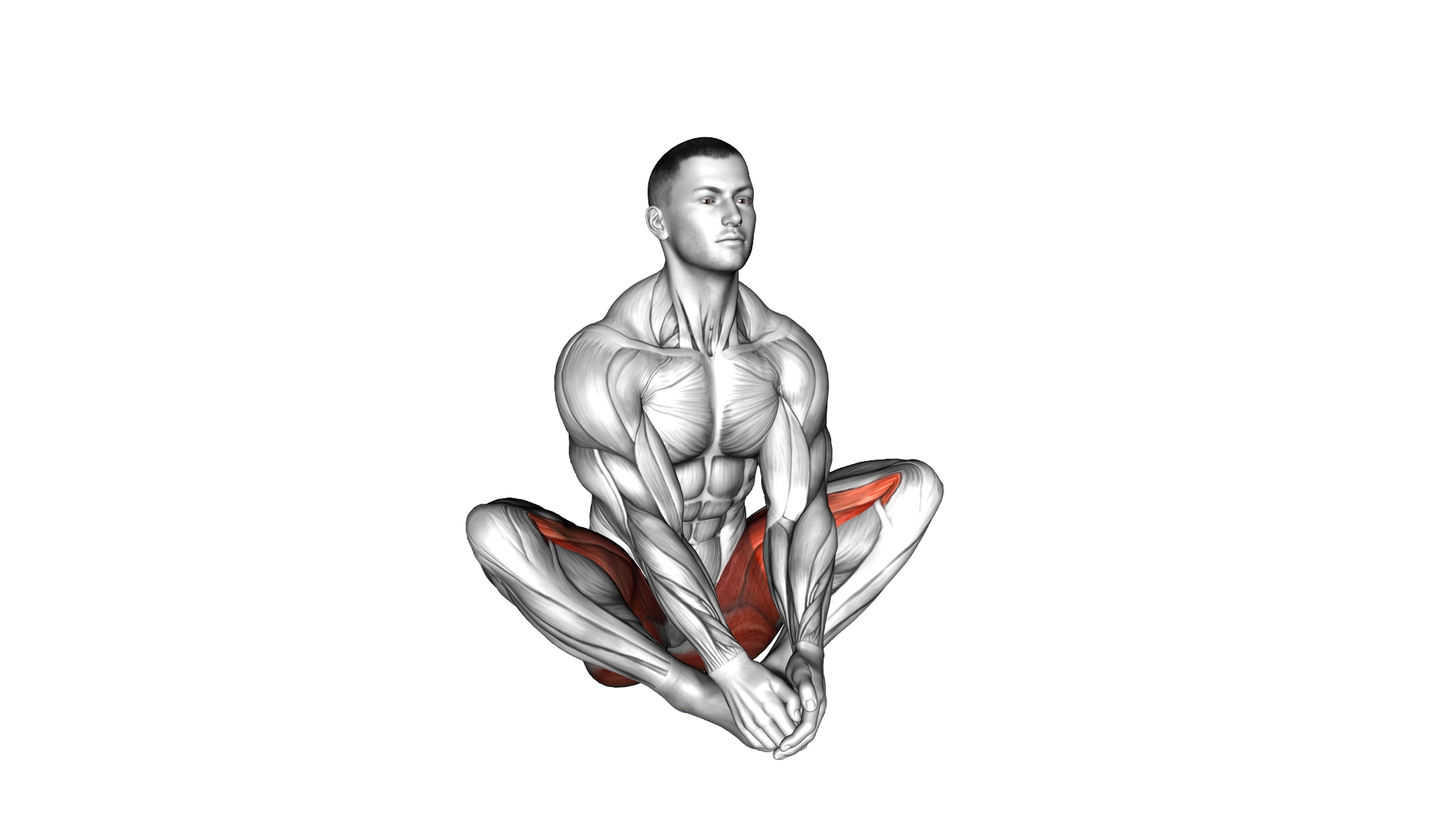 Butterfly Yoga Flaps exercise demonstration
