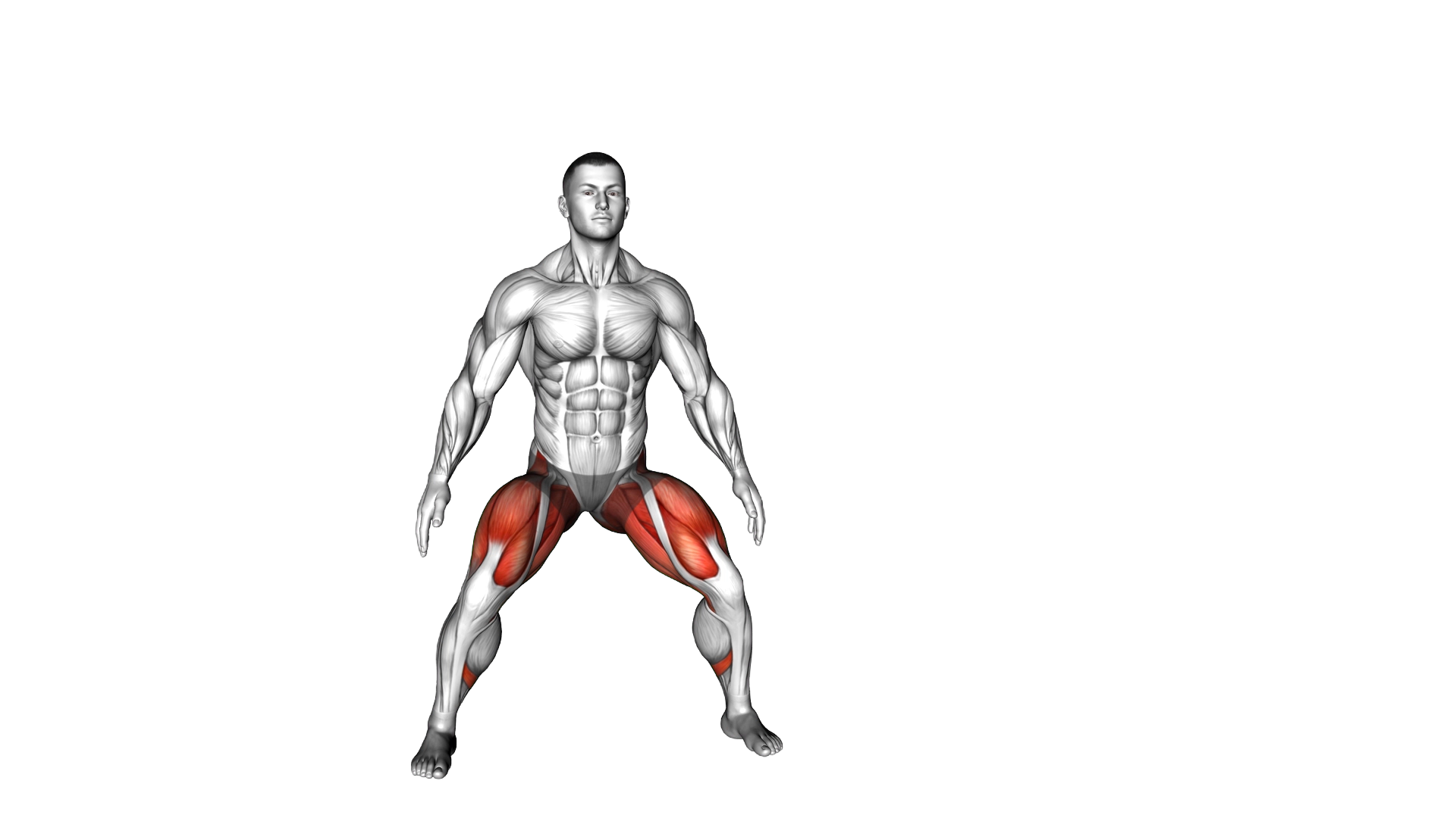 Side Squat Walk exercise demonstration