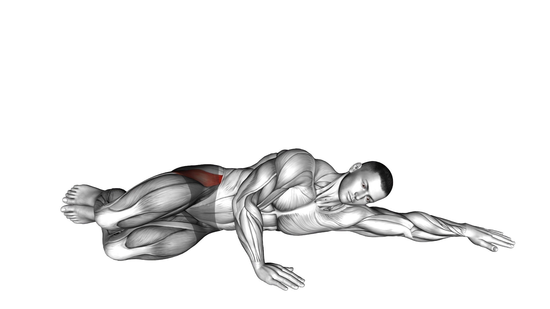 Hip Clam Shell exercise demonstration