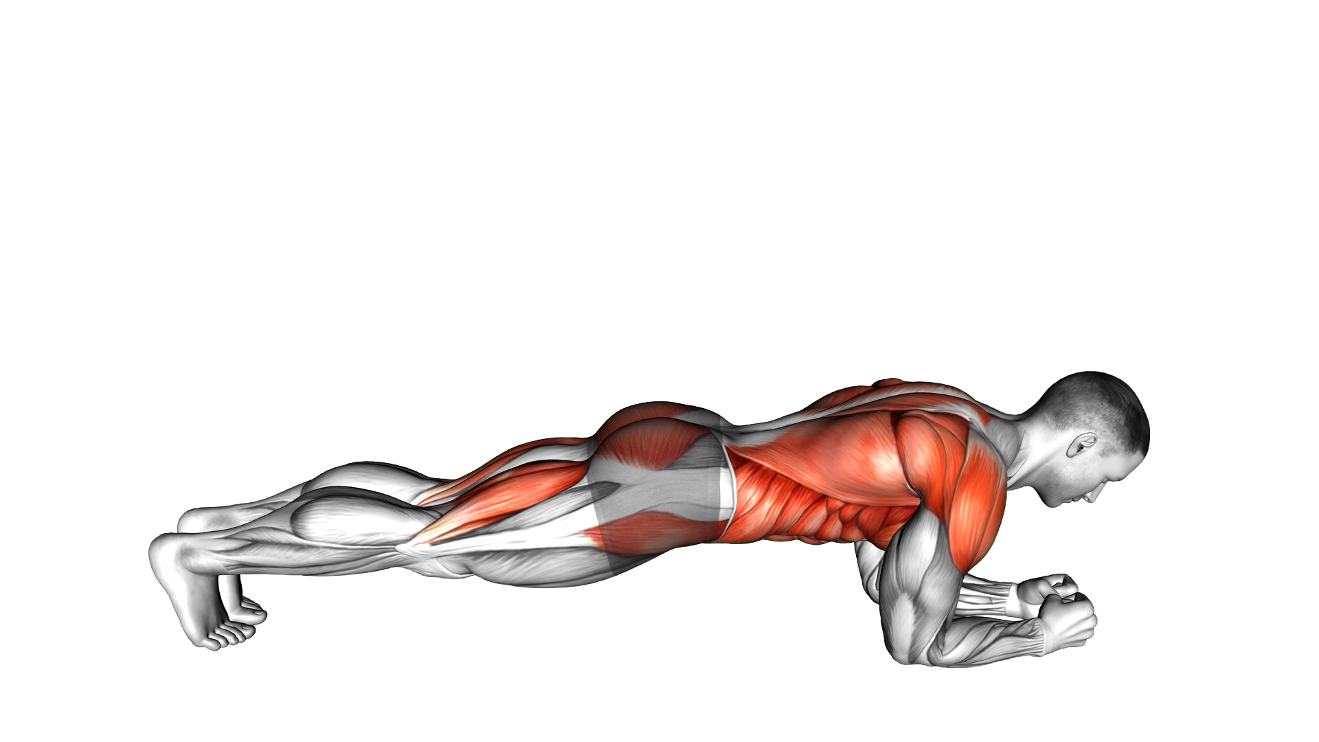 Plank to Pike exercise demonstration