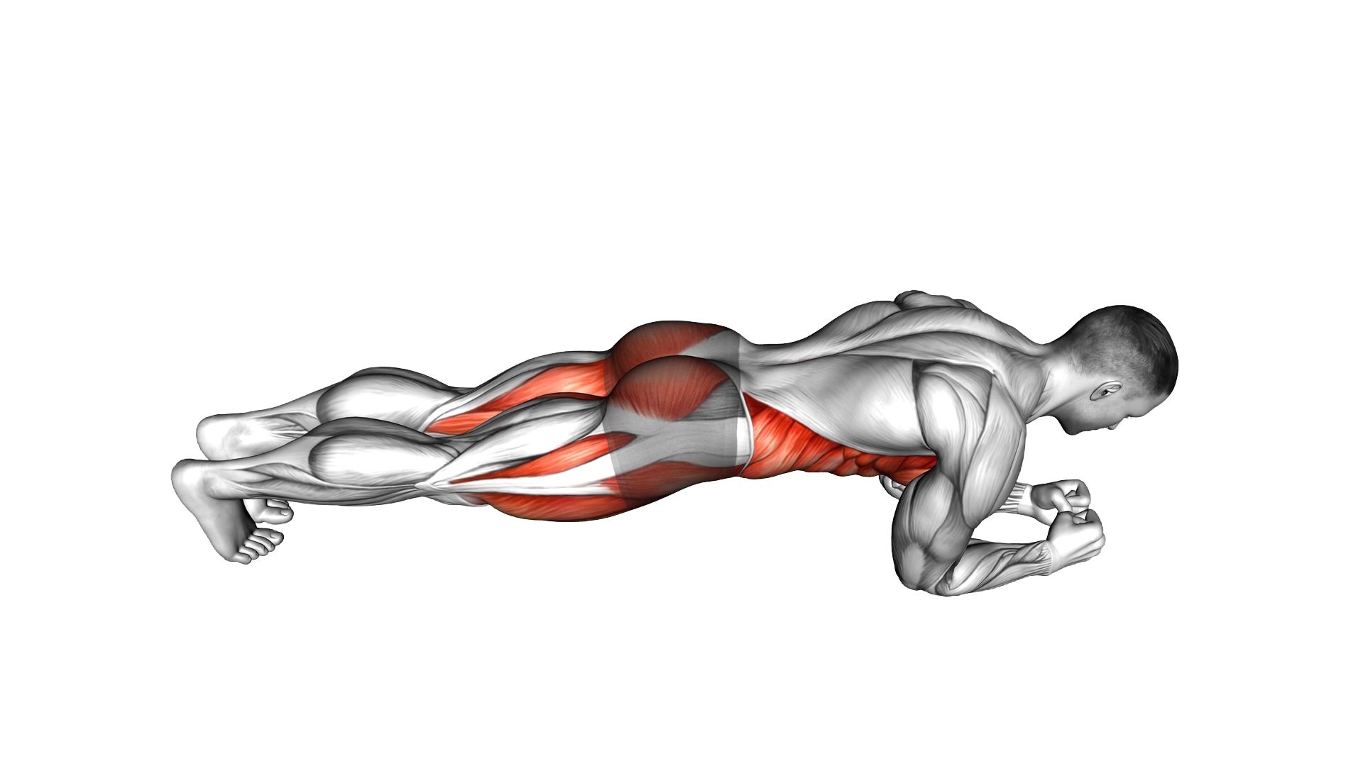 Spiderman Plank exercise demonstration
