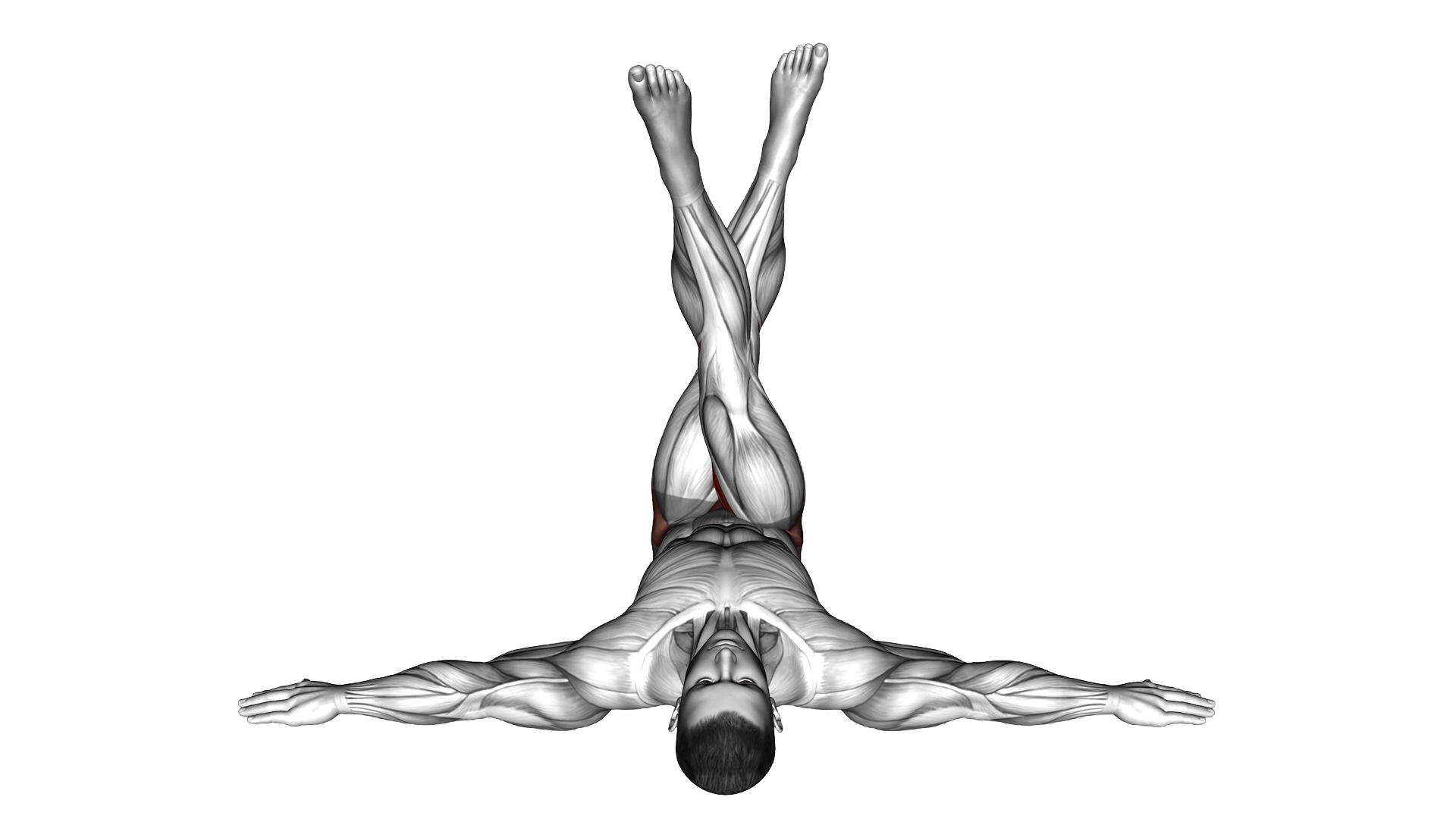 Lying Criss Cross Legs exercise demonstration