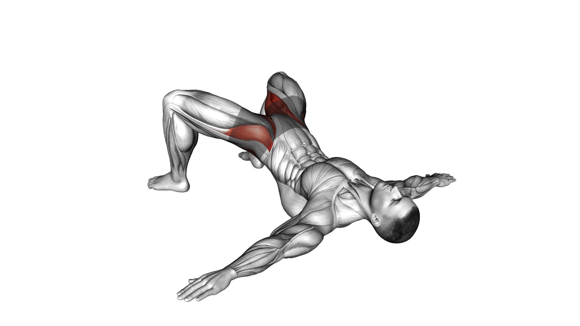 Bridge Hip Abduction exercise demonstration