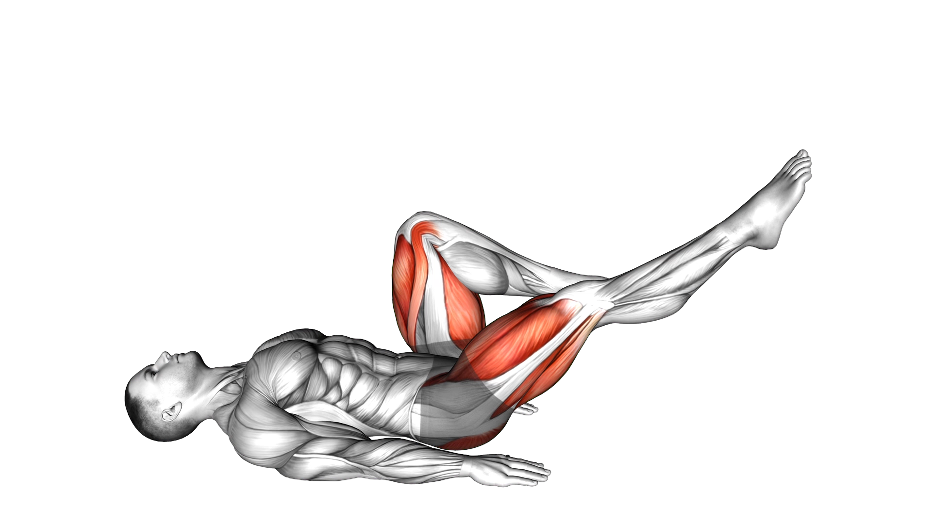 Lying Air Cycles exercise demonstration