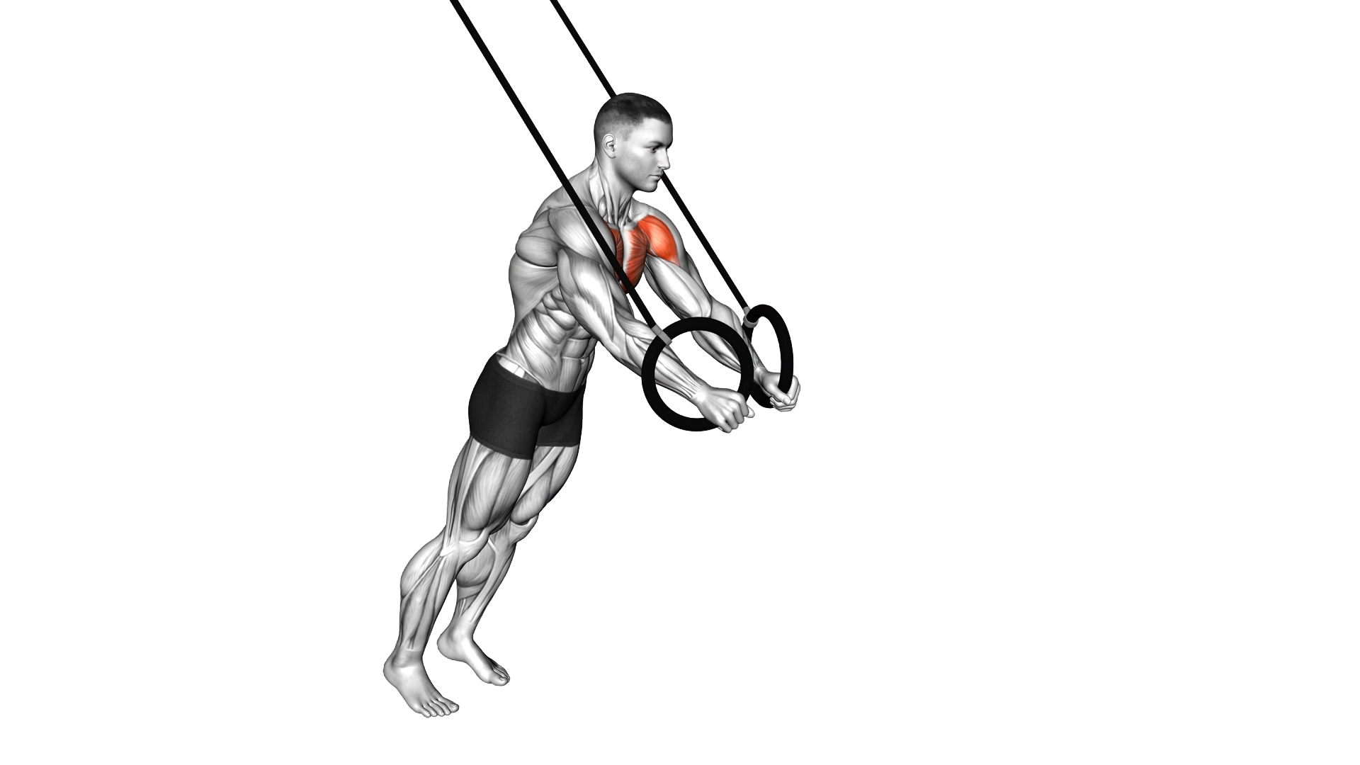 Ring Chest Fly exercise demonstration