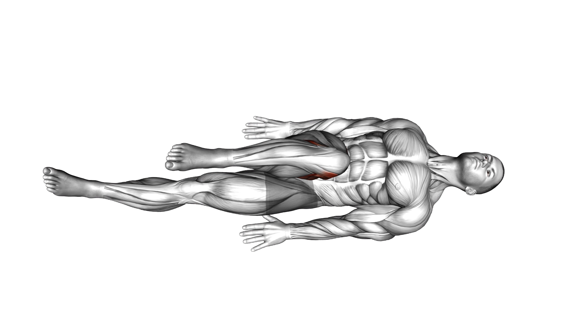 Lying Bent Knee Figure 8 exercise demonstration