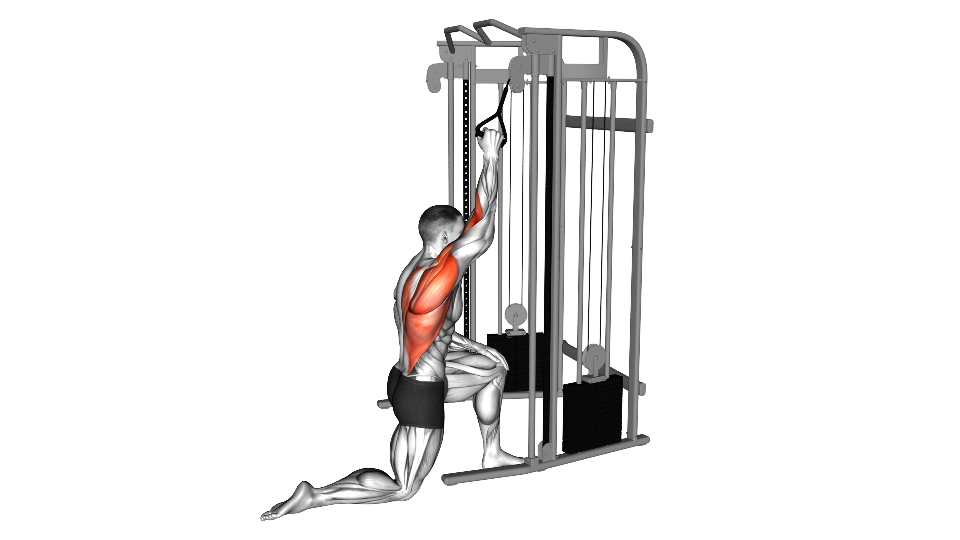 Cable Kneeling One Arm Lat Pulldown exercise demonstration