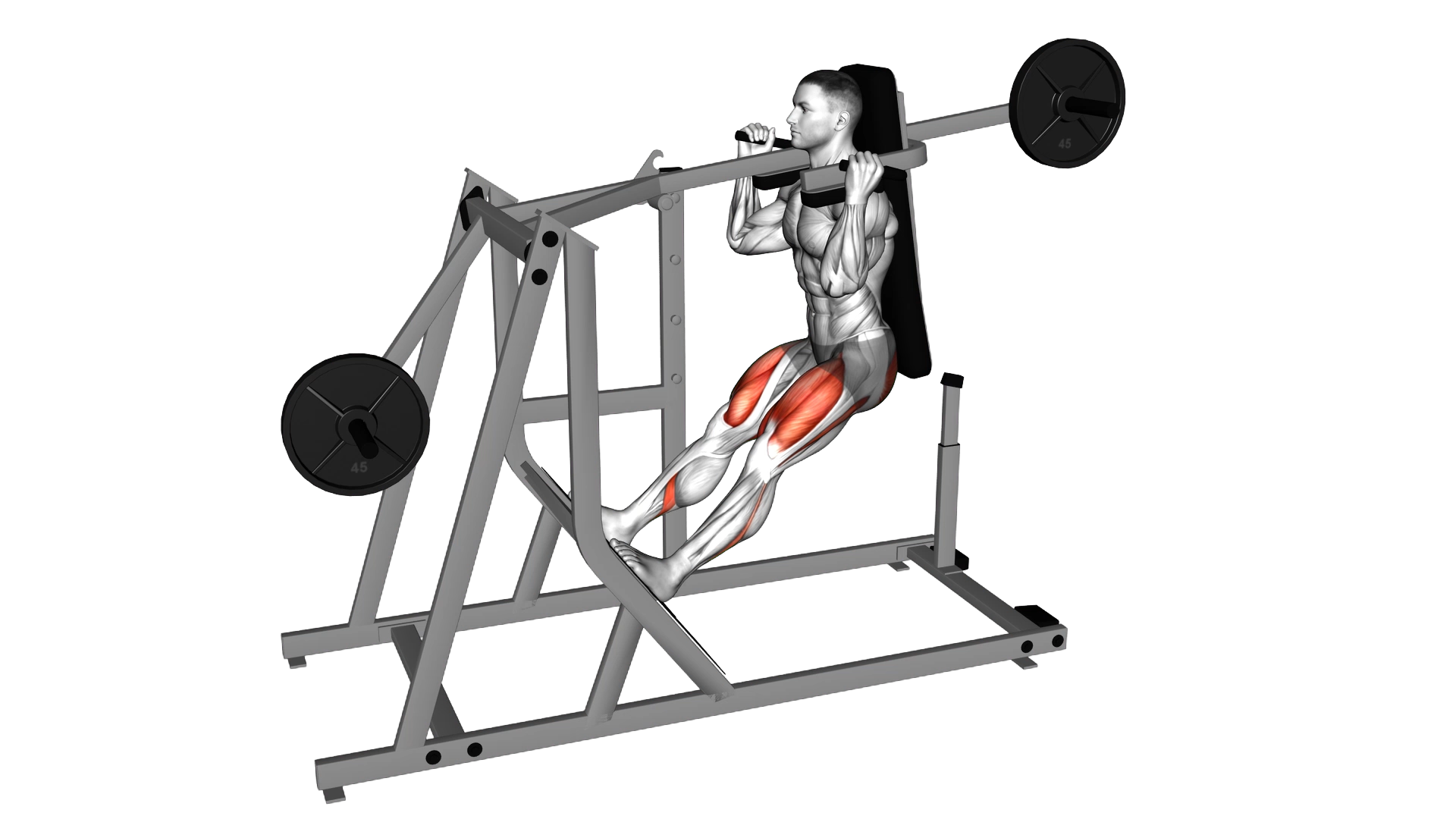 Lever Pendulum Squat (plate loaded) exercise demonstration