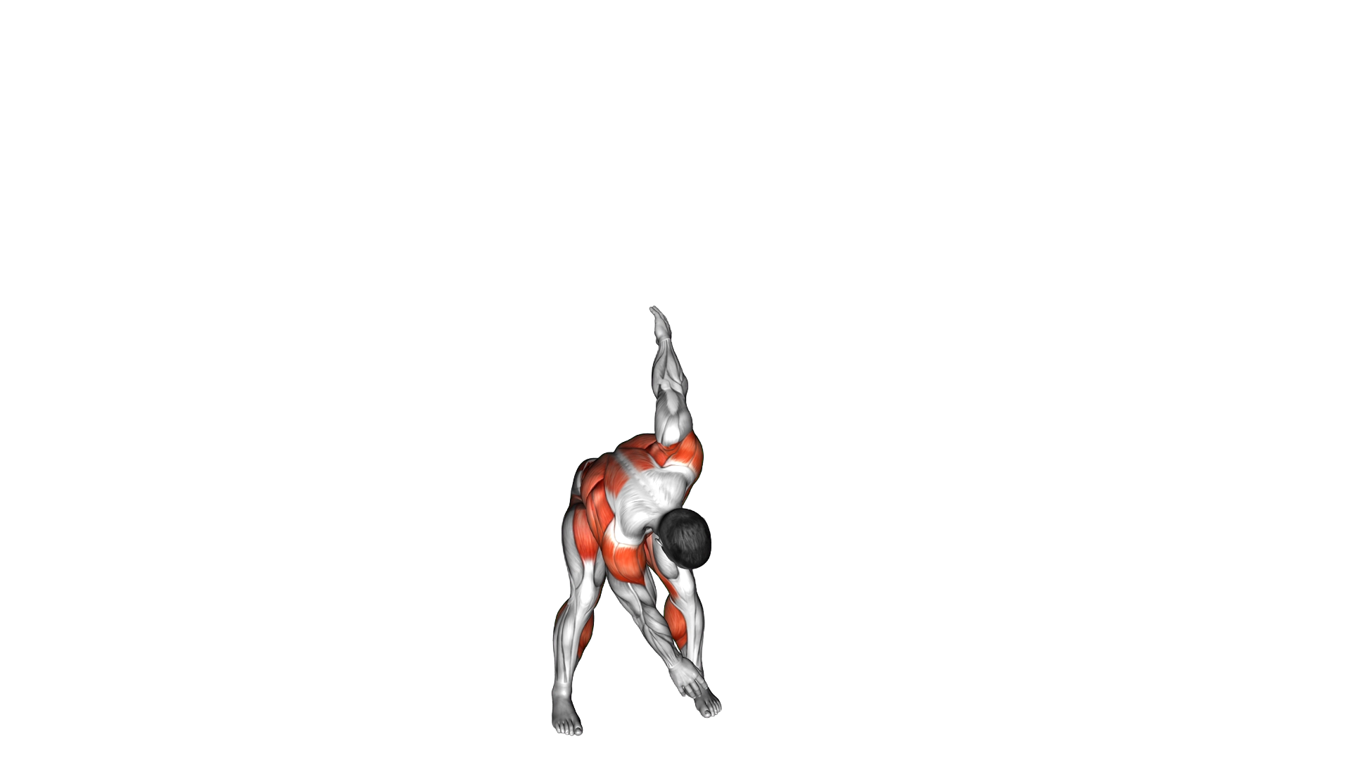 Hop Toe Tap exercise demonstration