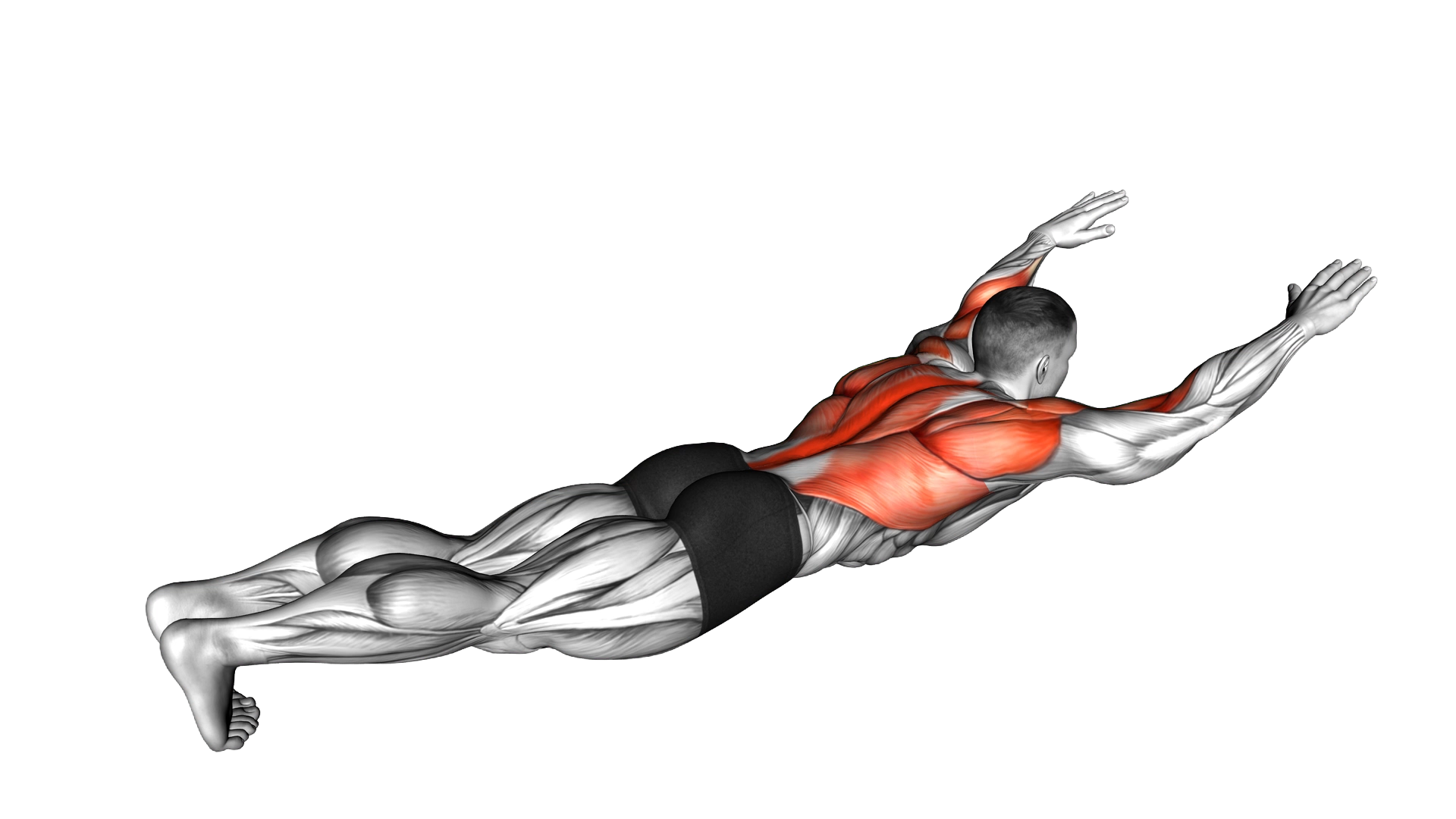 Lying Lat Pulldown exercise demonstration