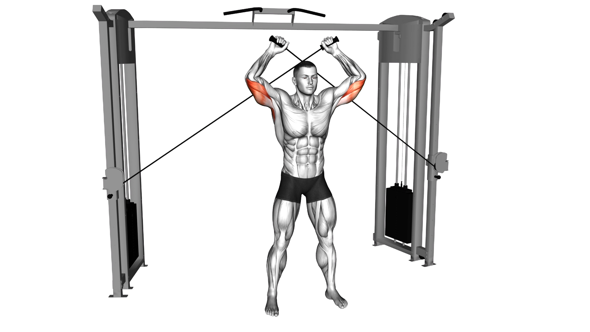 Cable High Triceps Extension exercise demonstration