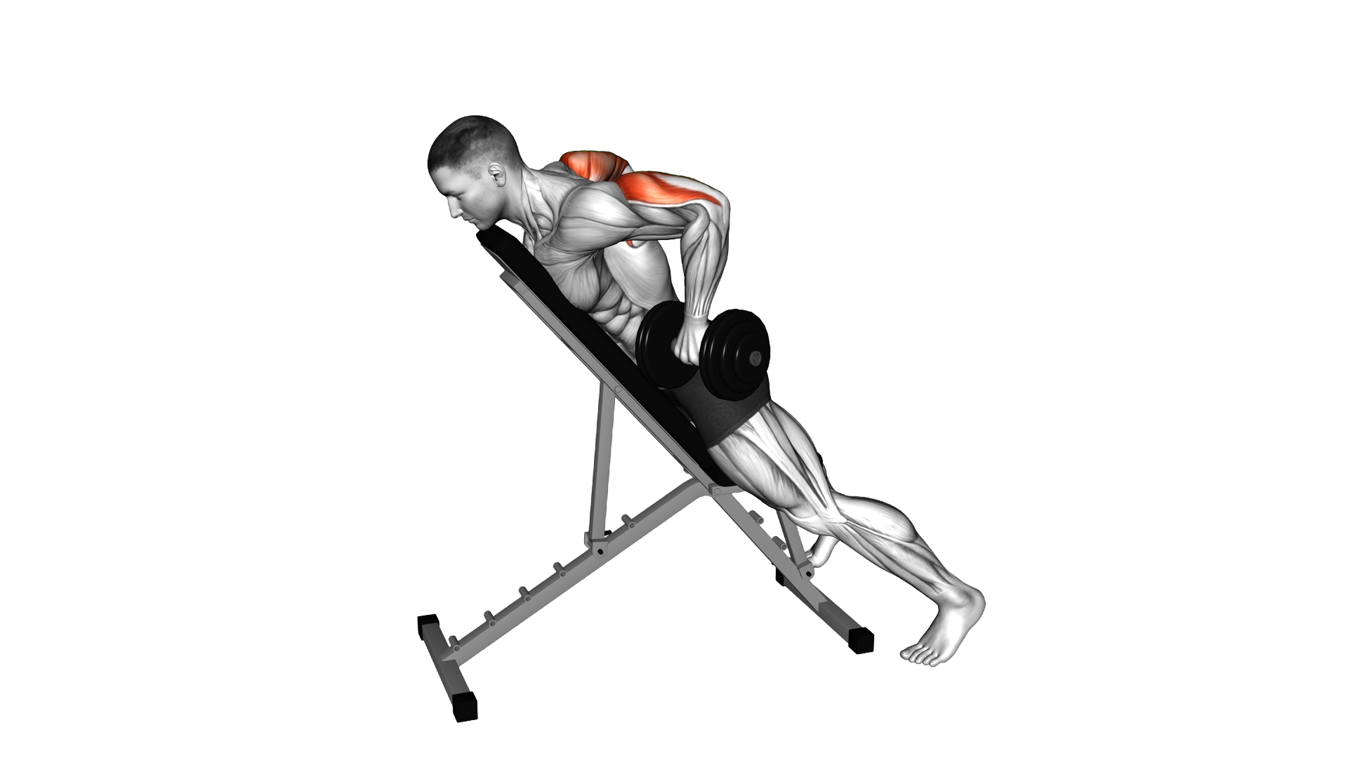 Dumbbell Prone Triceps Kickback exercise demonstration