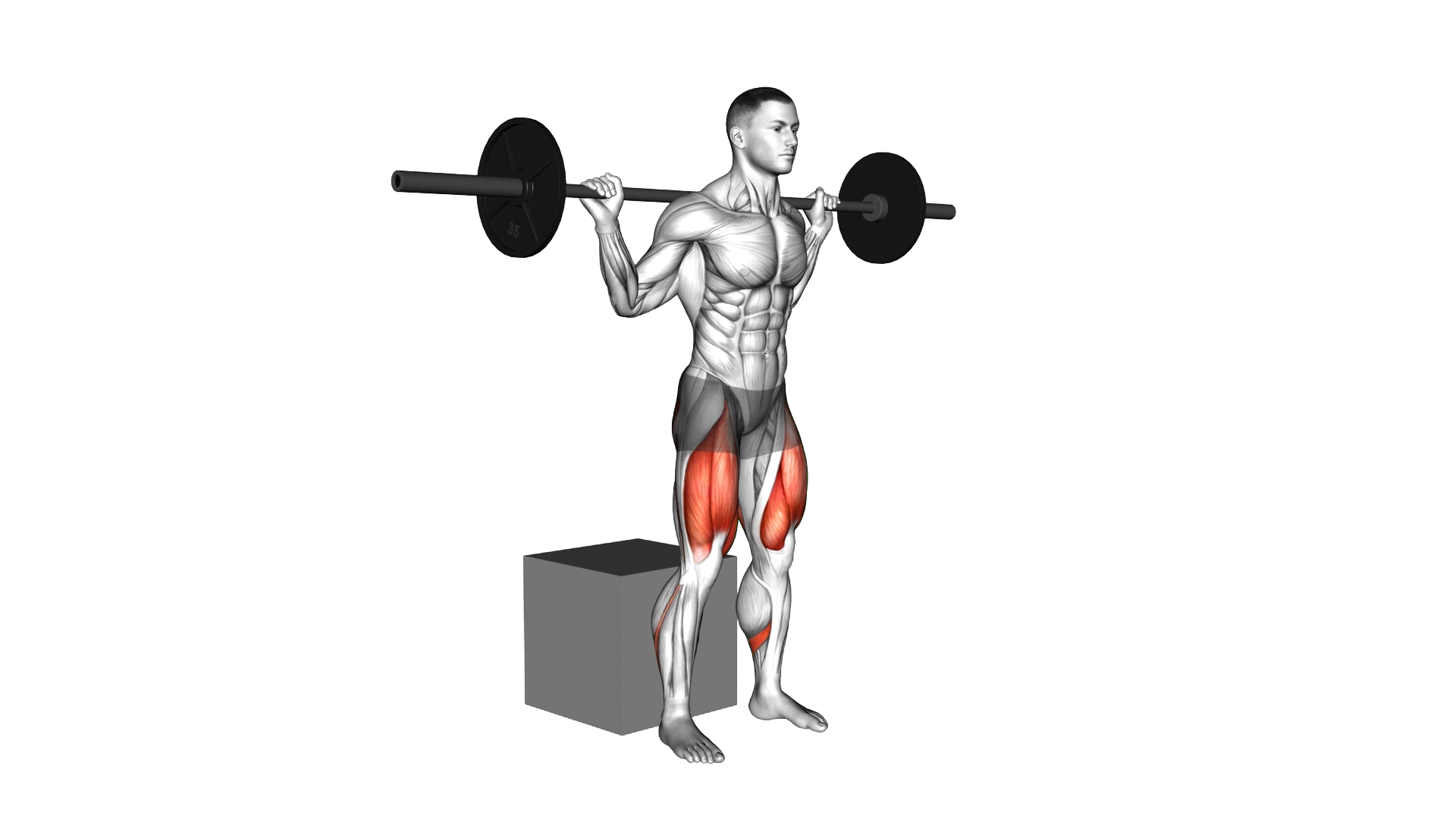 Barbell Box Squat exercise demonstration