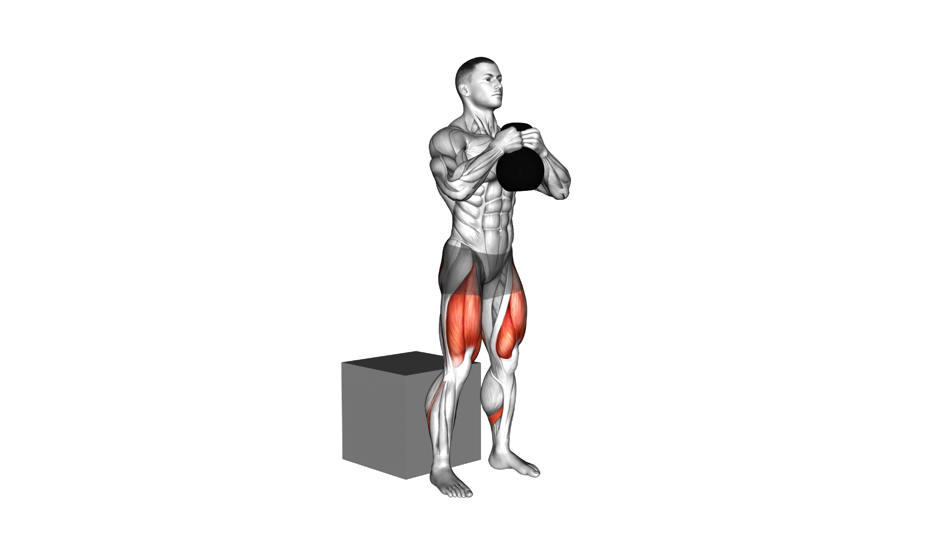 Kettlebell Box Squat exercise demonstration