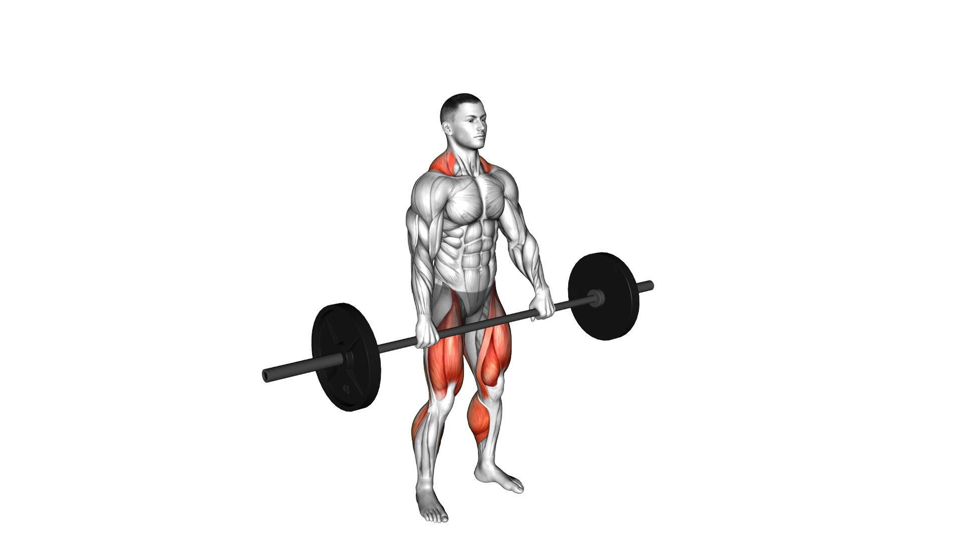 Jump Shrug exercise demonstration