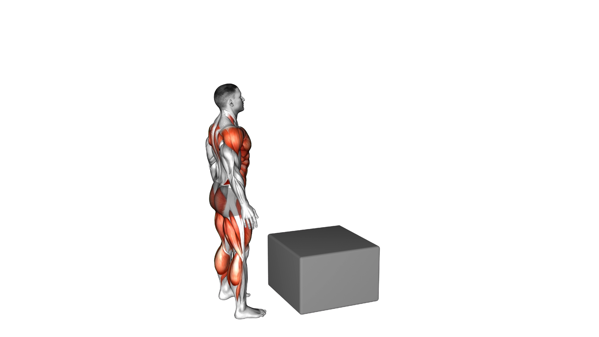 Jump Box exercise demonstration