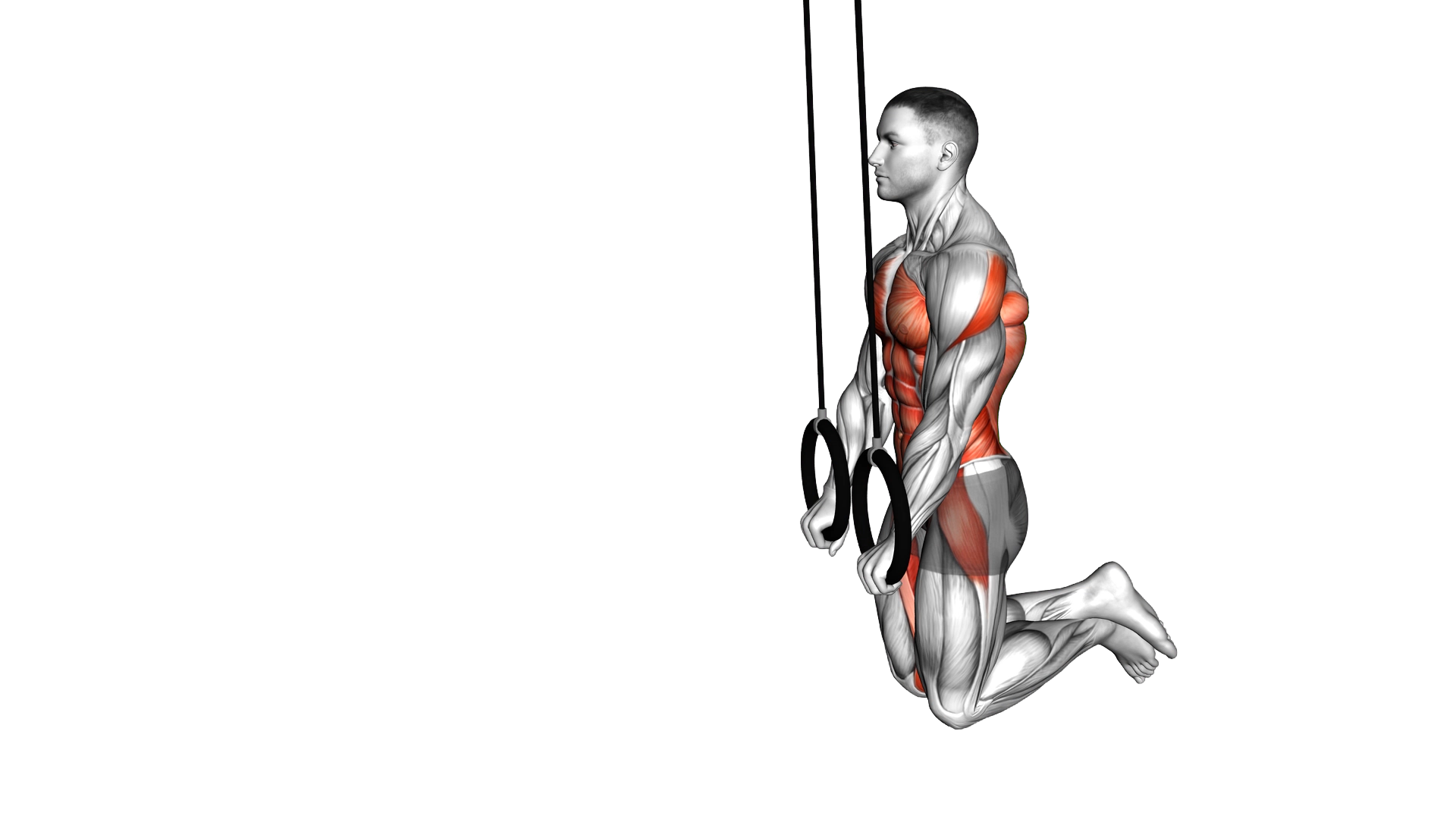 Ring Kneeling Ab RollOut exercise demonstration