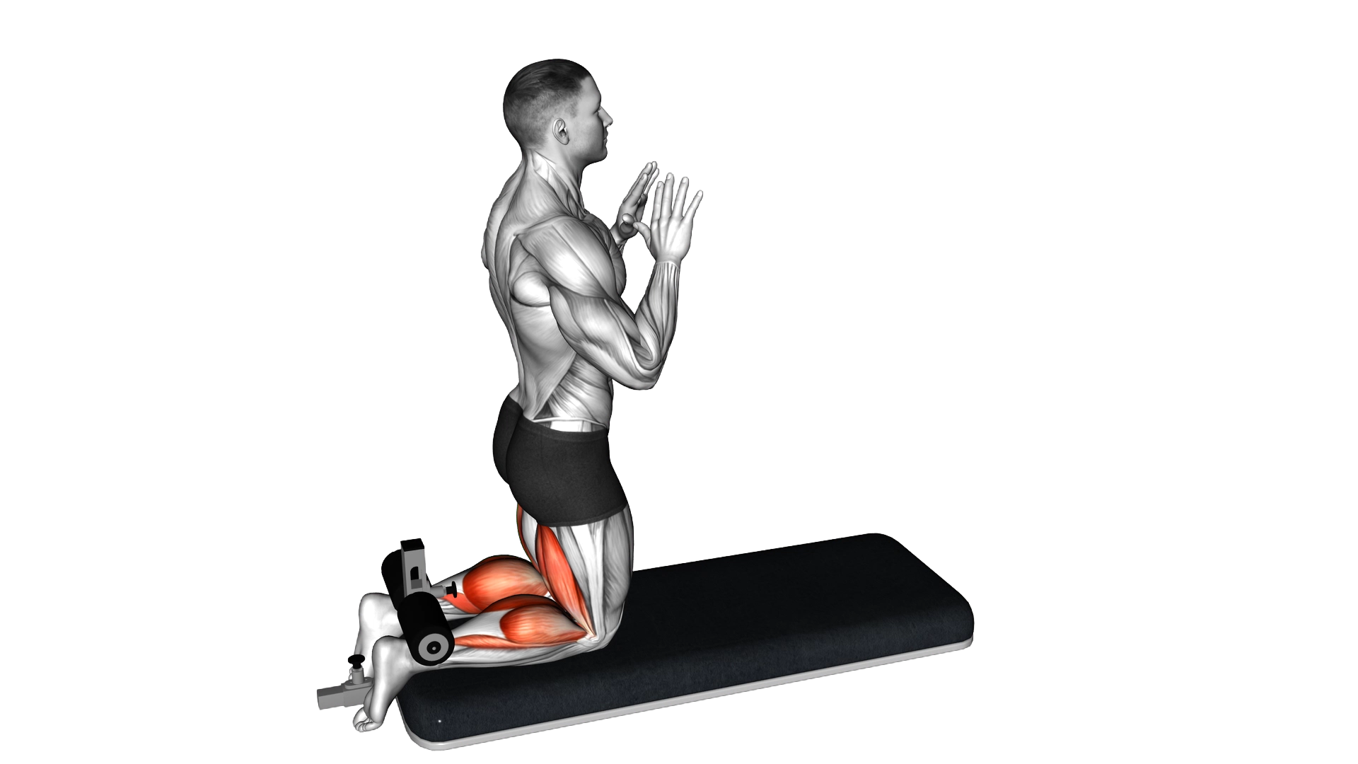 Inverse Leg Curl with Bench Pads exercise demonstration