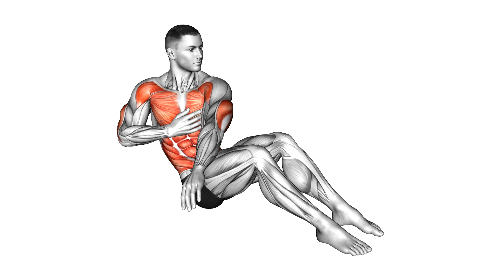 V Sit Cross Punch exercise demonstration
