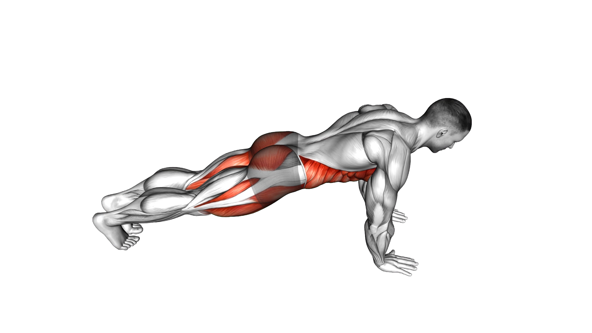 Knee To Elbow Touch Front Plank exercise demonstration