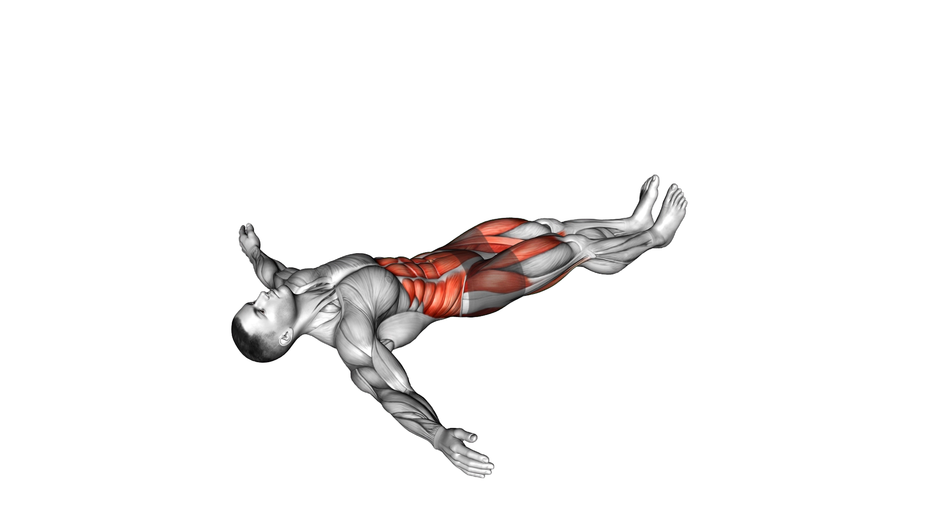 Lying Leg Cross exercise demonstration