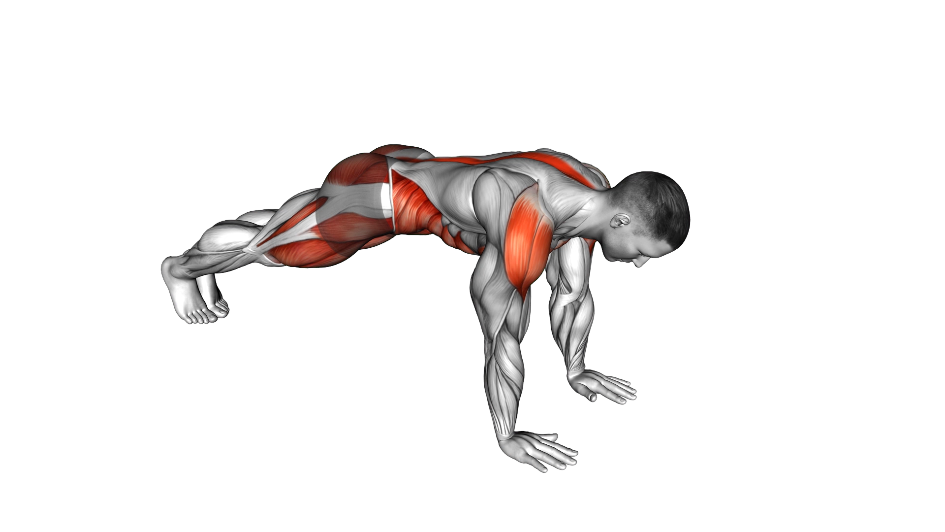 Mountain Climber Cross exercise demonstration