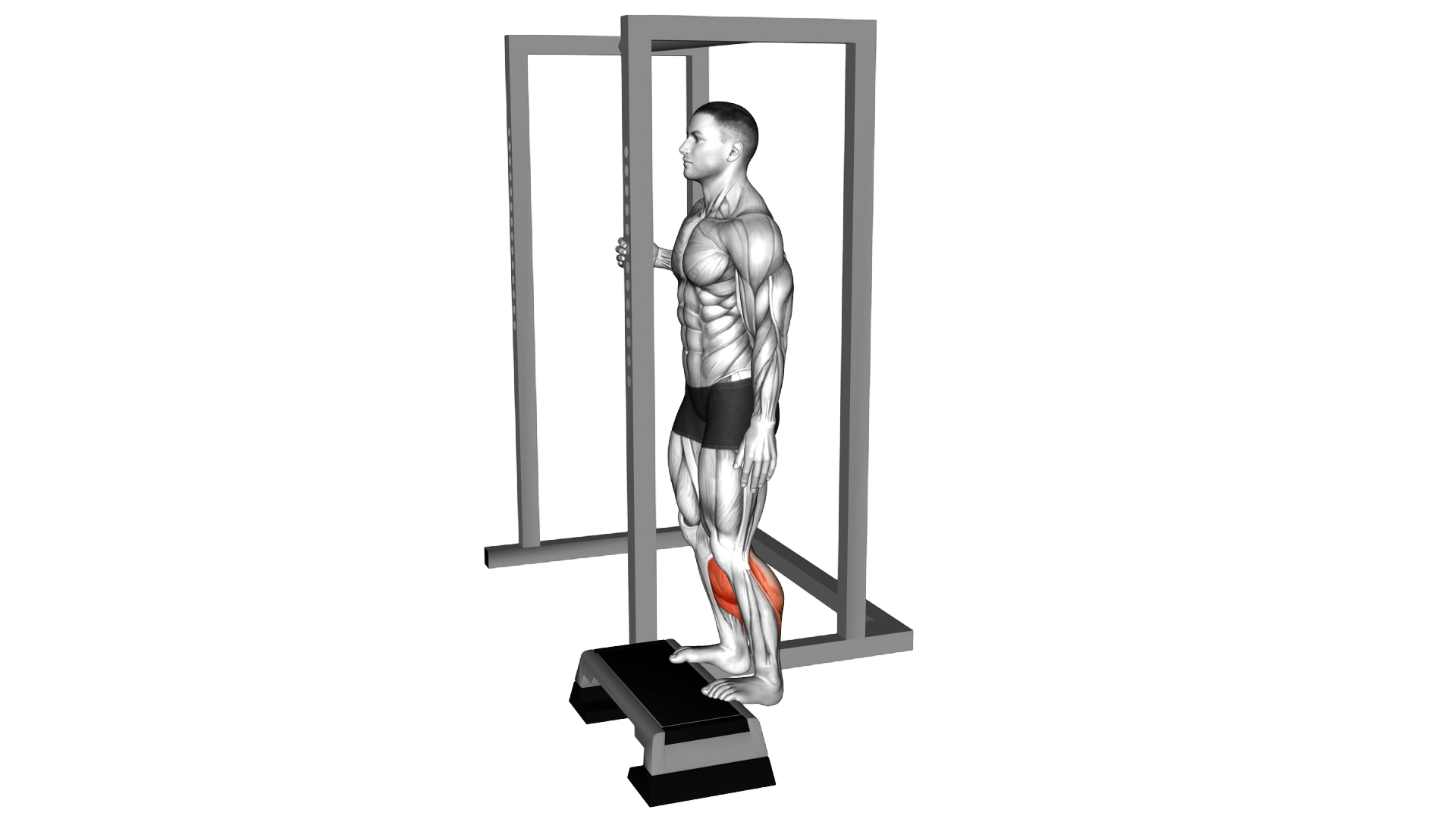 Elevated Standing Calf Raise exercise demonstration