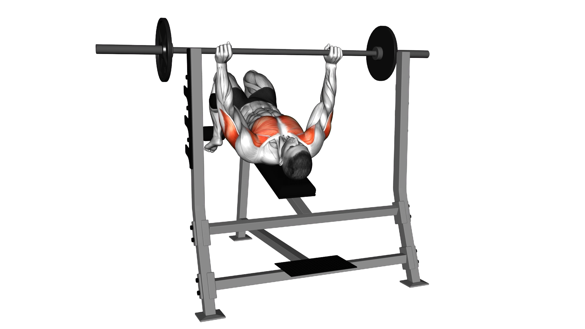 Barbell Pause Decline Bench Press exercise demonstration