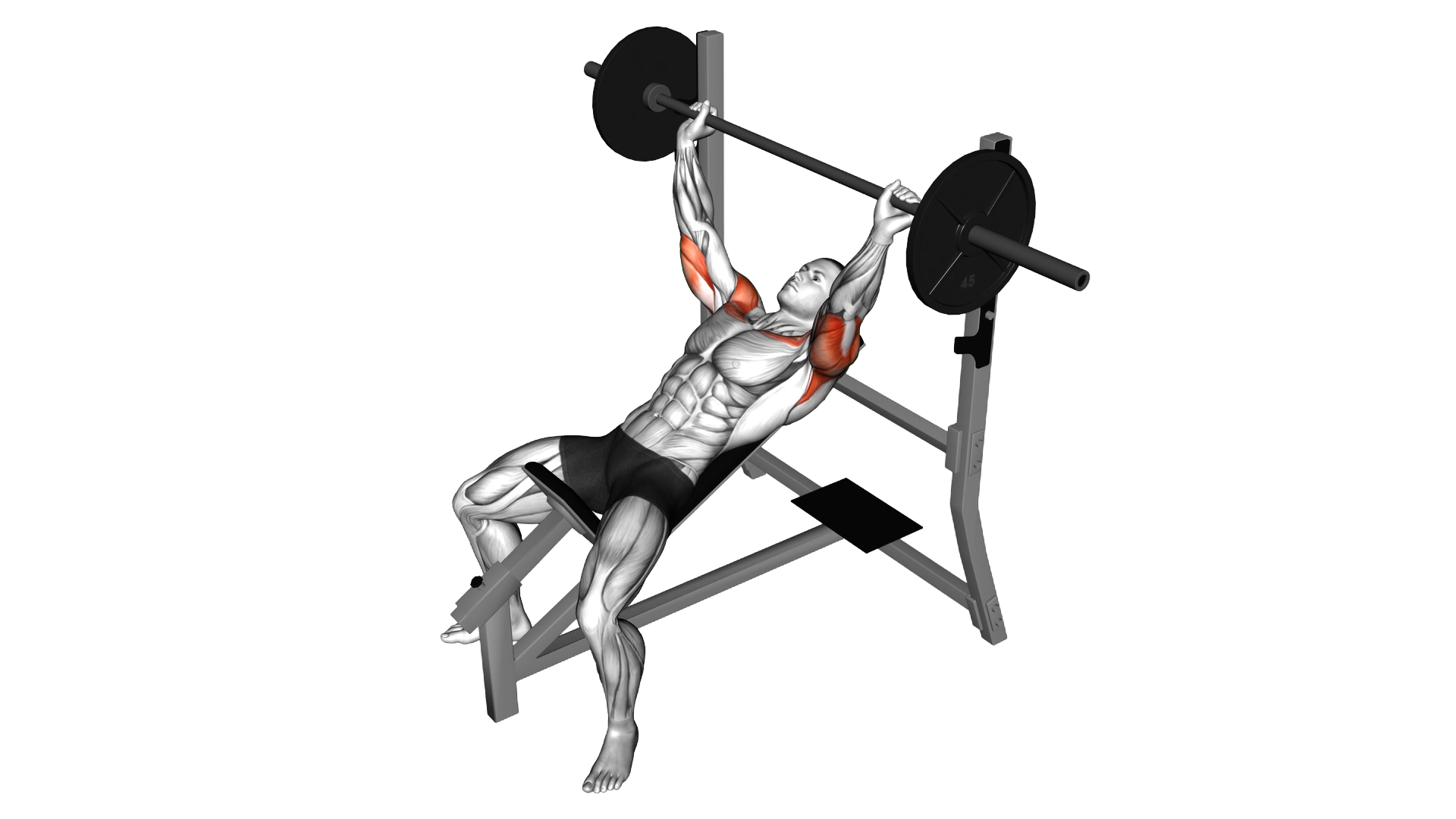 Barbell Pause Incline Bench Press exercise demonstration