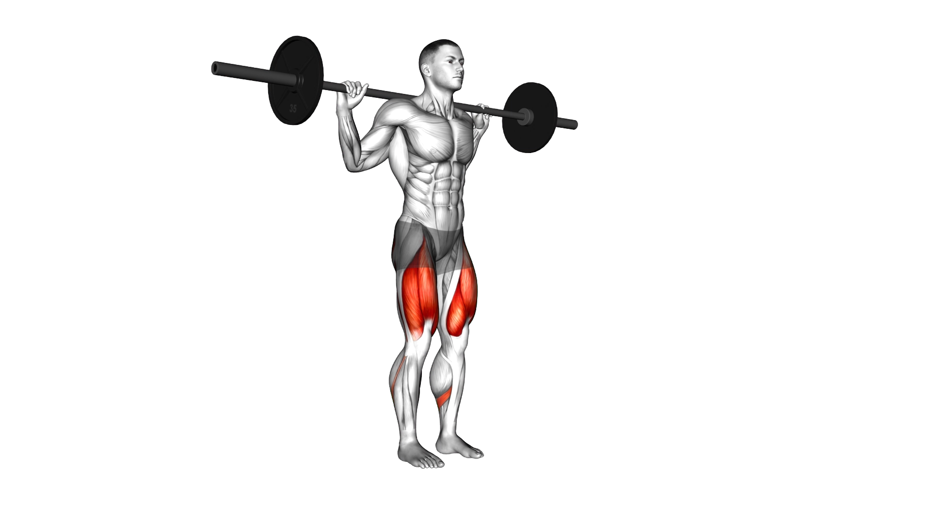 Barbell Pause Lunge exercise demonstration