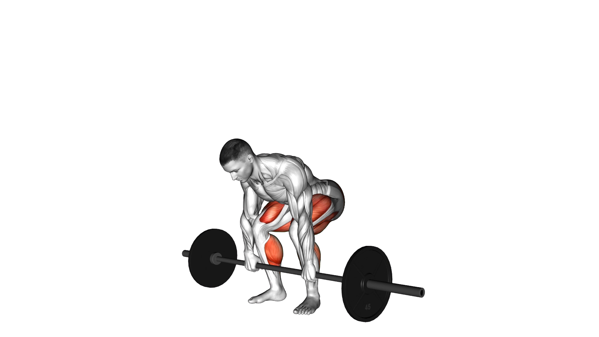 Barbell Pause Deadlift exercise demonstration