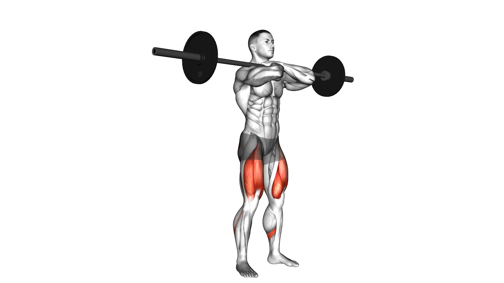 Barbell Pause Front Squat exercise demonstration