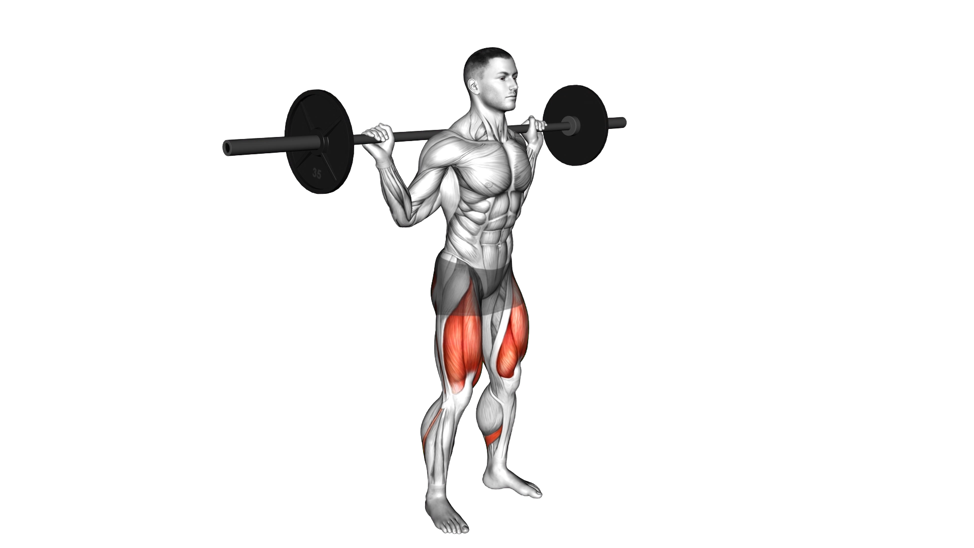 Barbell Pause Full Squat exercise demonstration