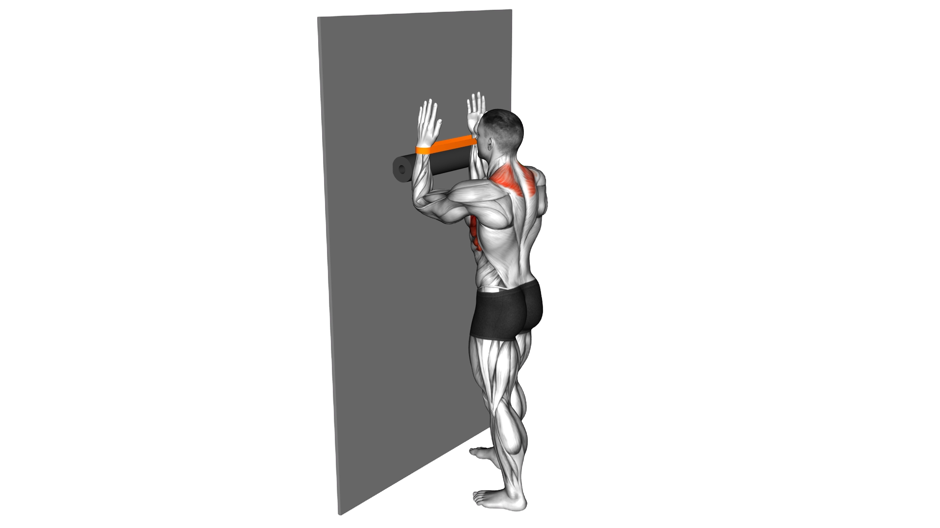 Resistance Band Serratus Wall Slide with Foam Roll exercise demonstration