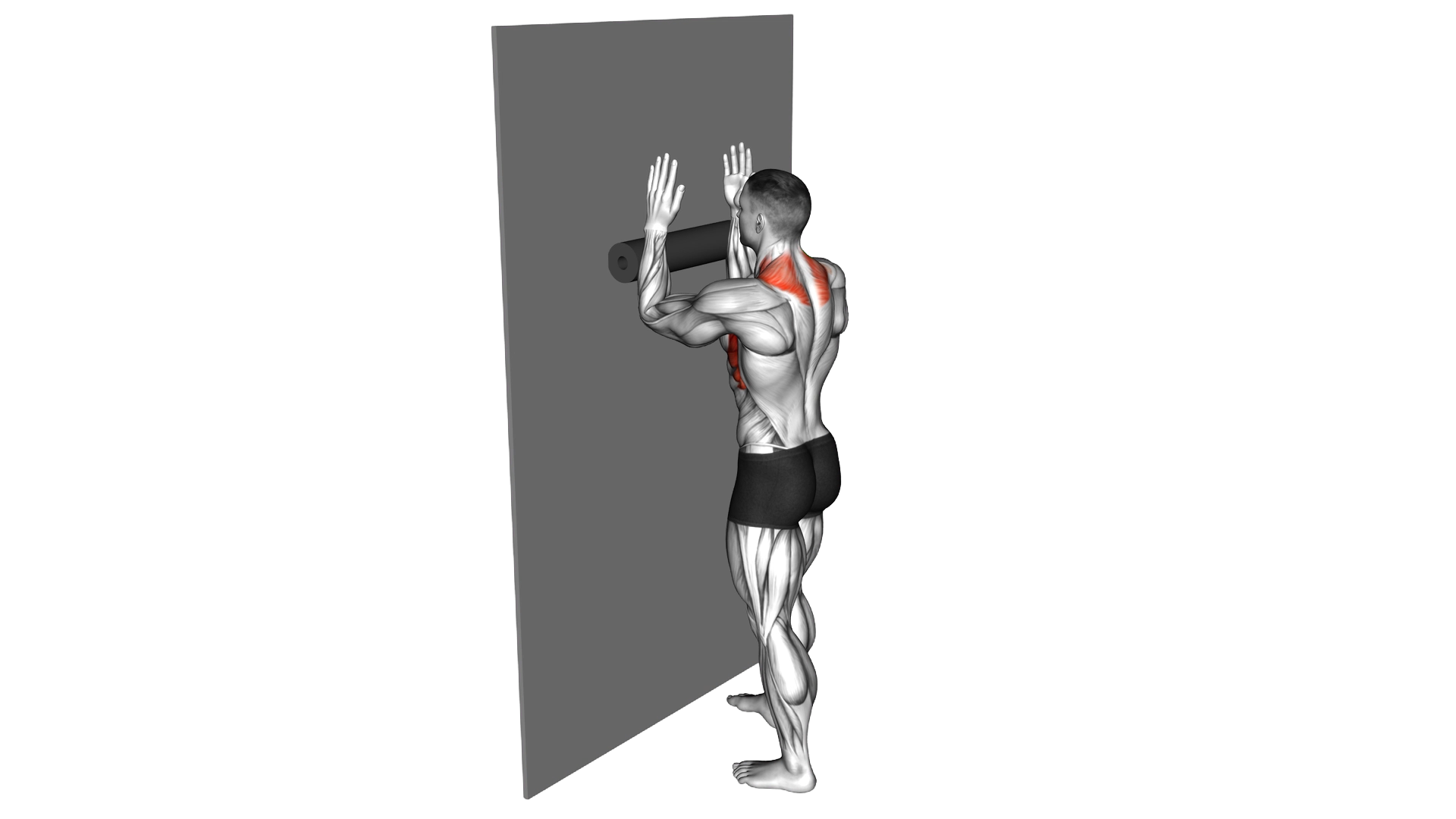 Foam Roll Serratus Wall Slide exercise demonstration