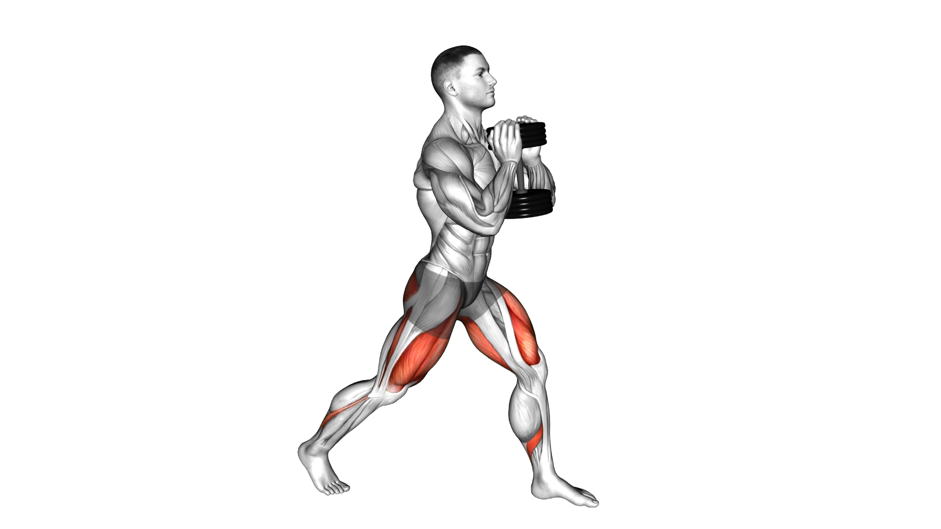 Dumbbell Goblet Split Squat exercise demonstration