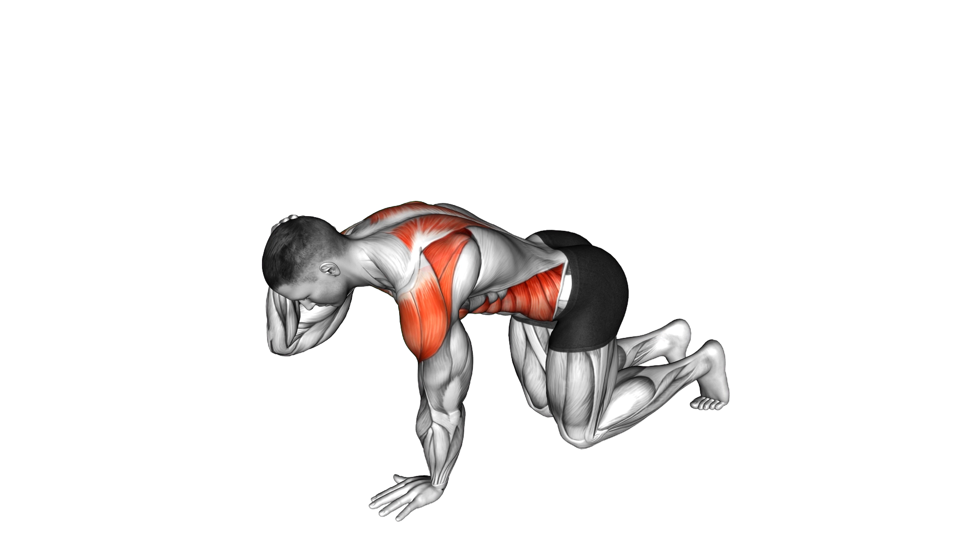 Kneeling Back Rotation exercise demonstration