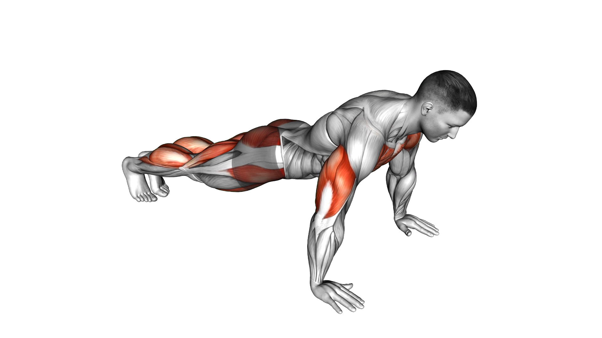 Push Up Jack exercise demonstration