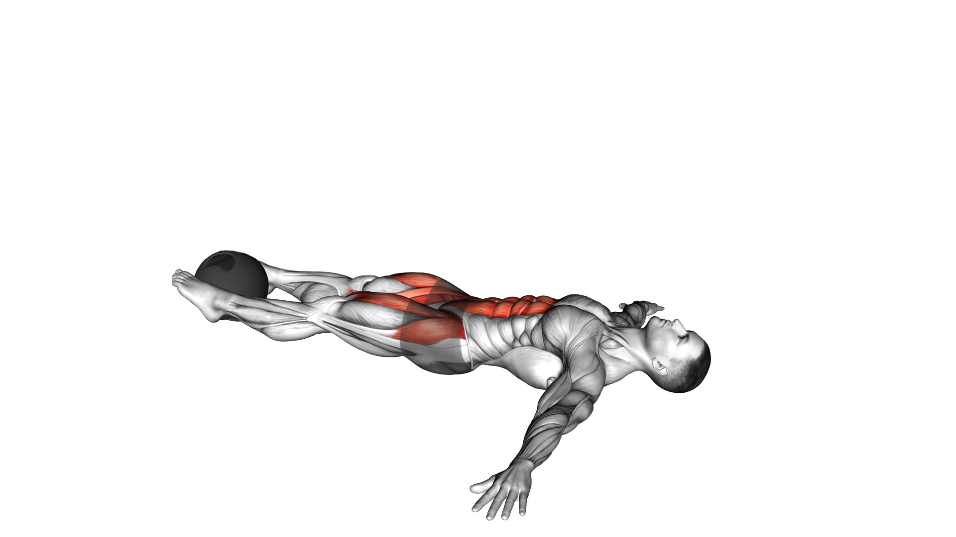 Medicine Ball Lying Leg Raise exercise demonstration