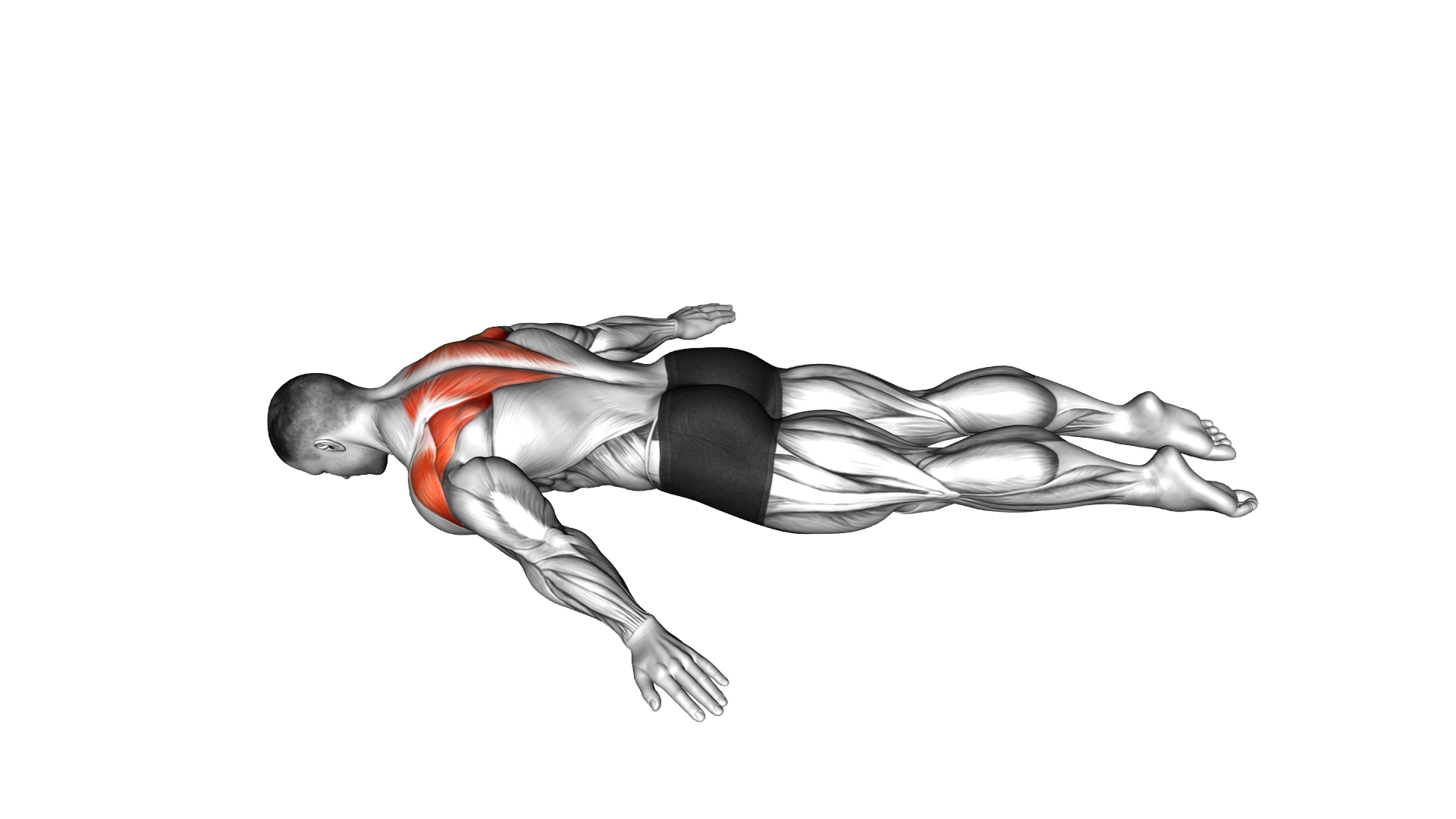 Lying Prone A exercise demonstration