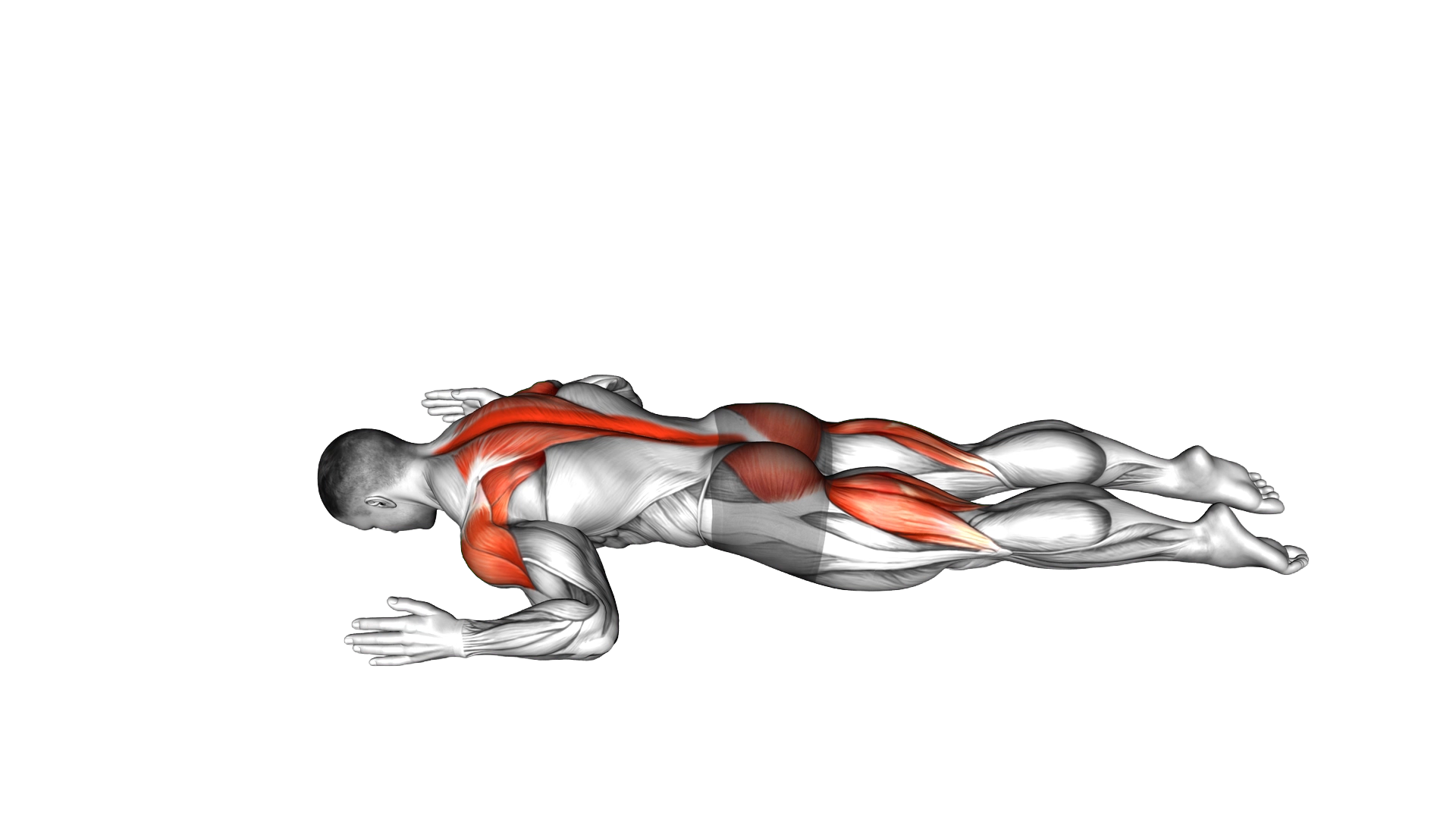 Superman W to Y exercise demonstration