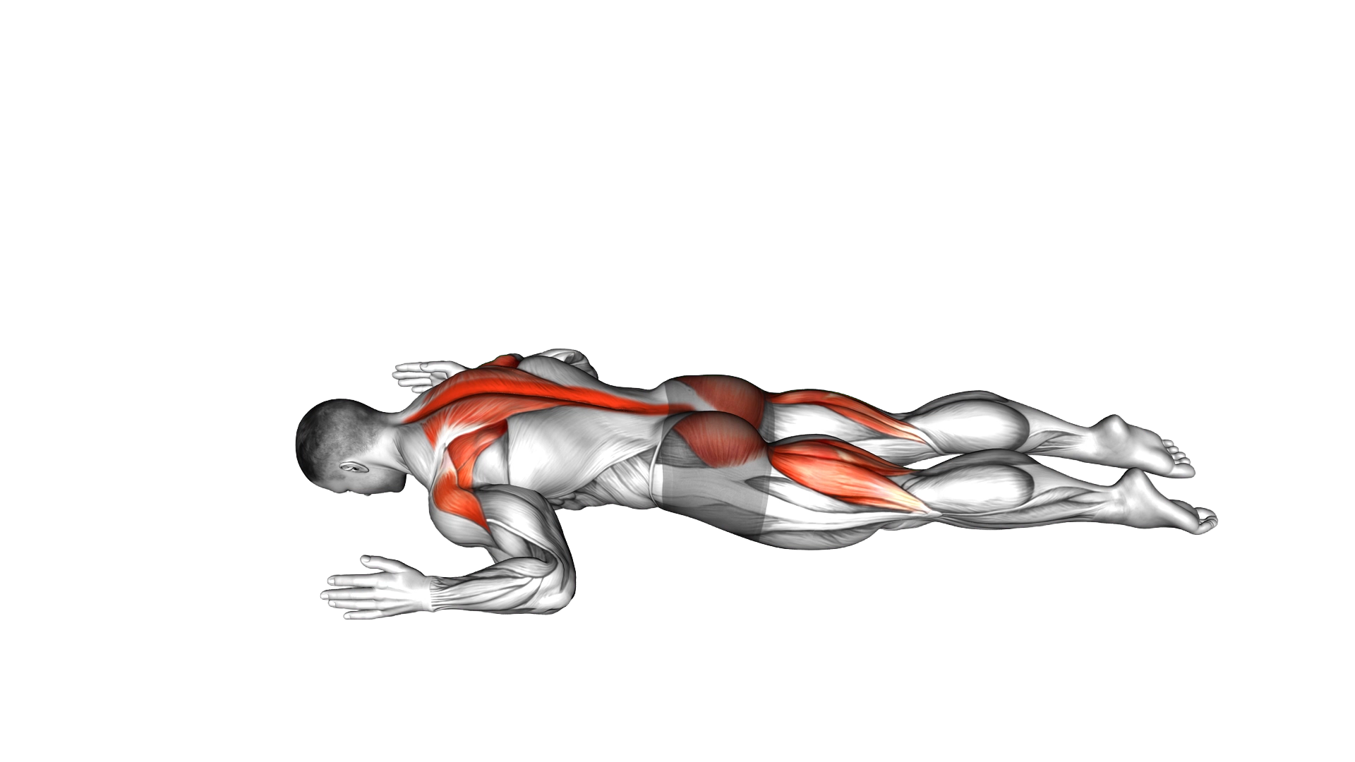 Superman W exercise demonstration