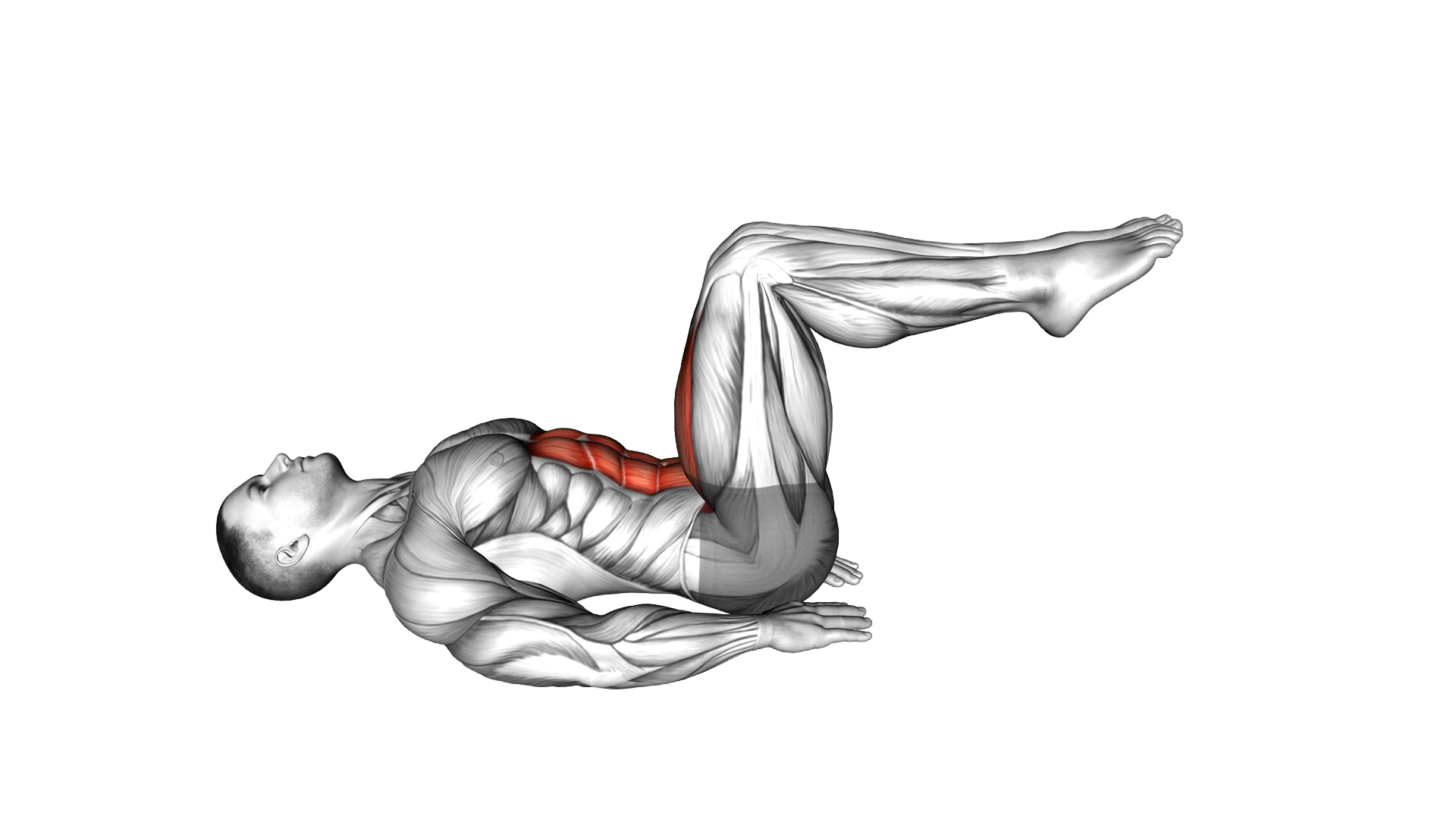 Lying Alternate Toe Touch Floor exercise demonstration